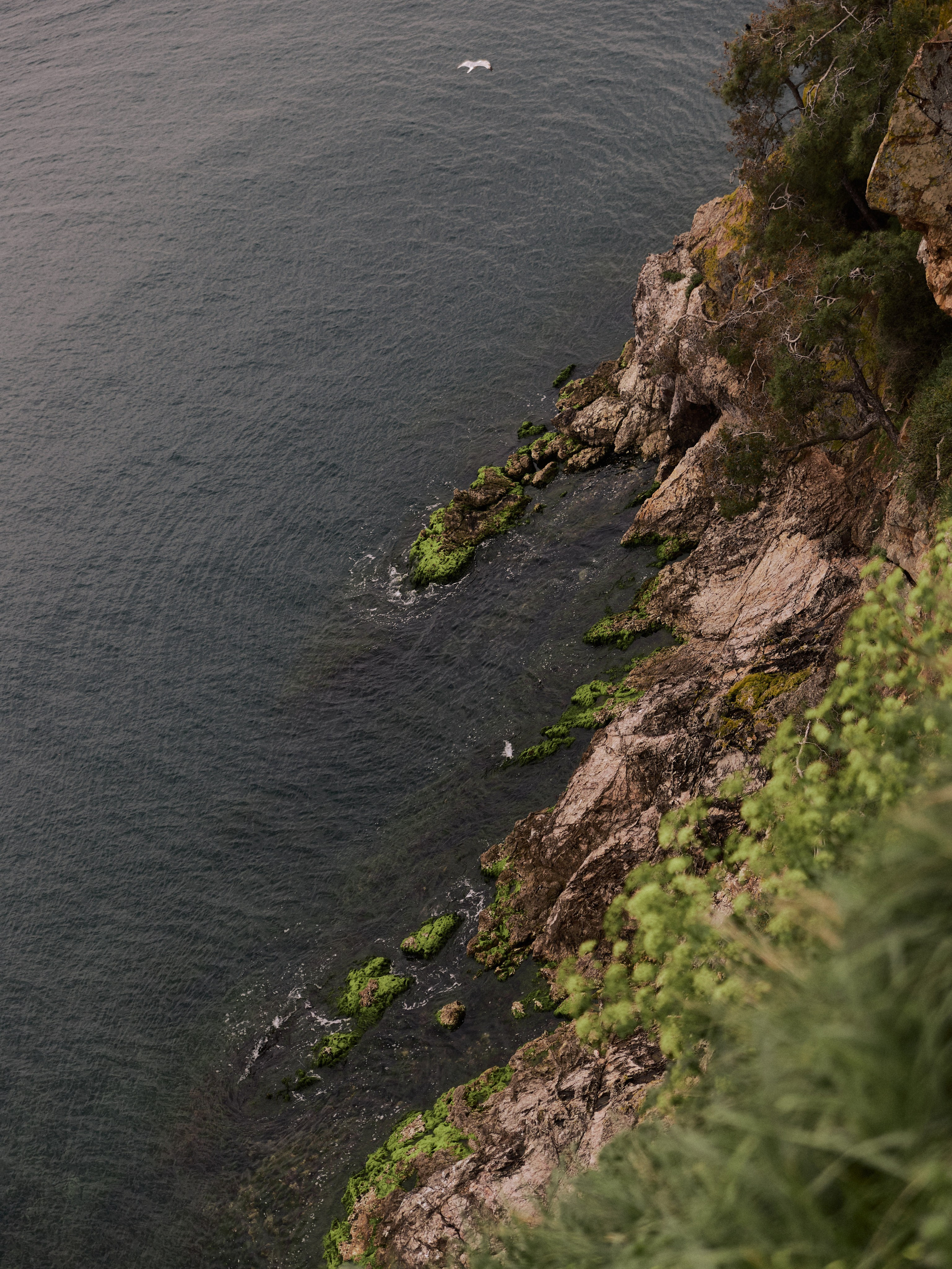 Диптих. Jorgis — фотограф в Хургаде / обучение фотографии