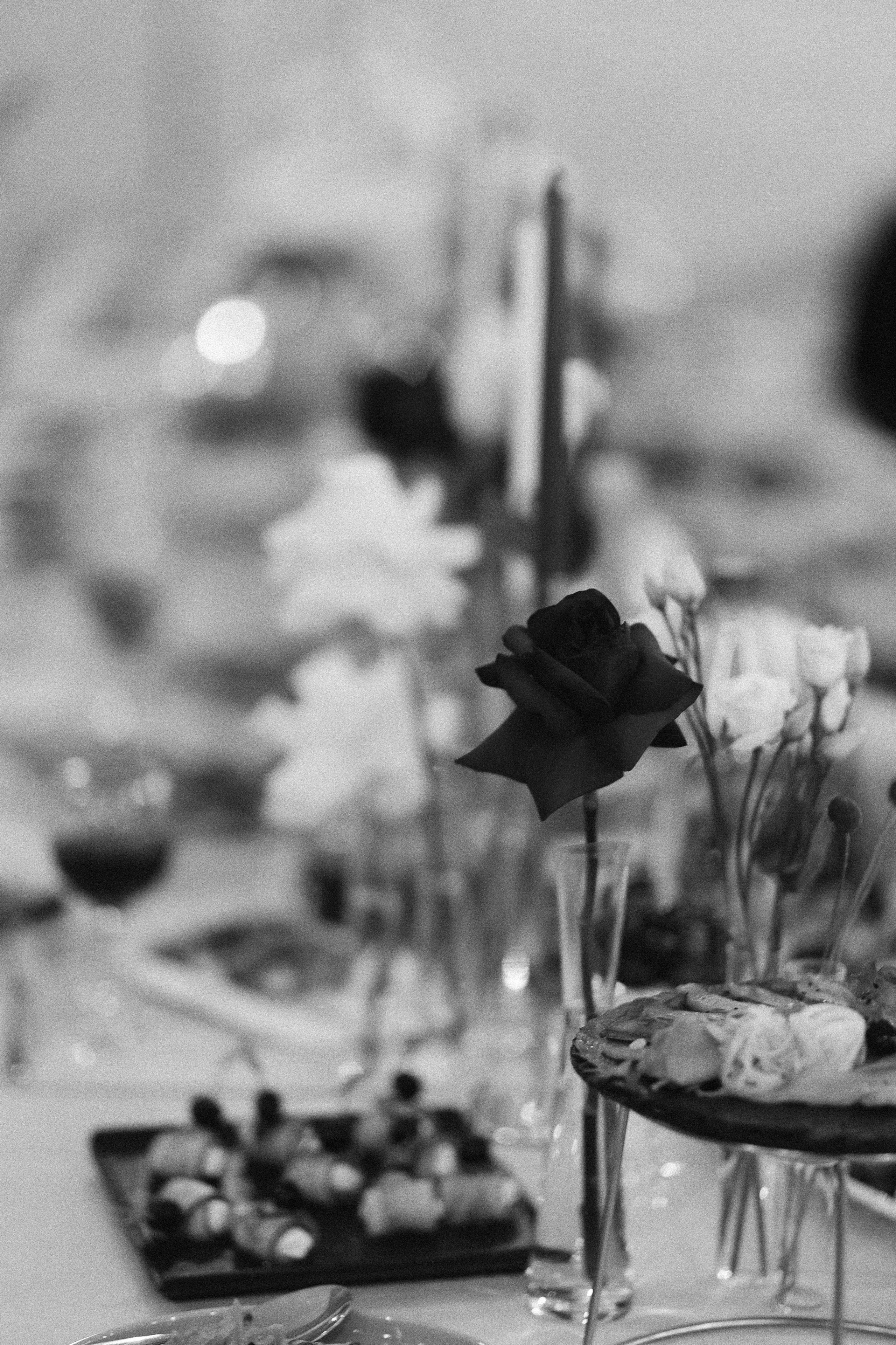 ЕКАТЕРИНА & ЕВГЕНИЙ ` 28.07.24. Maria Startseva Photo