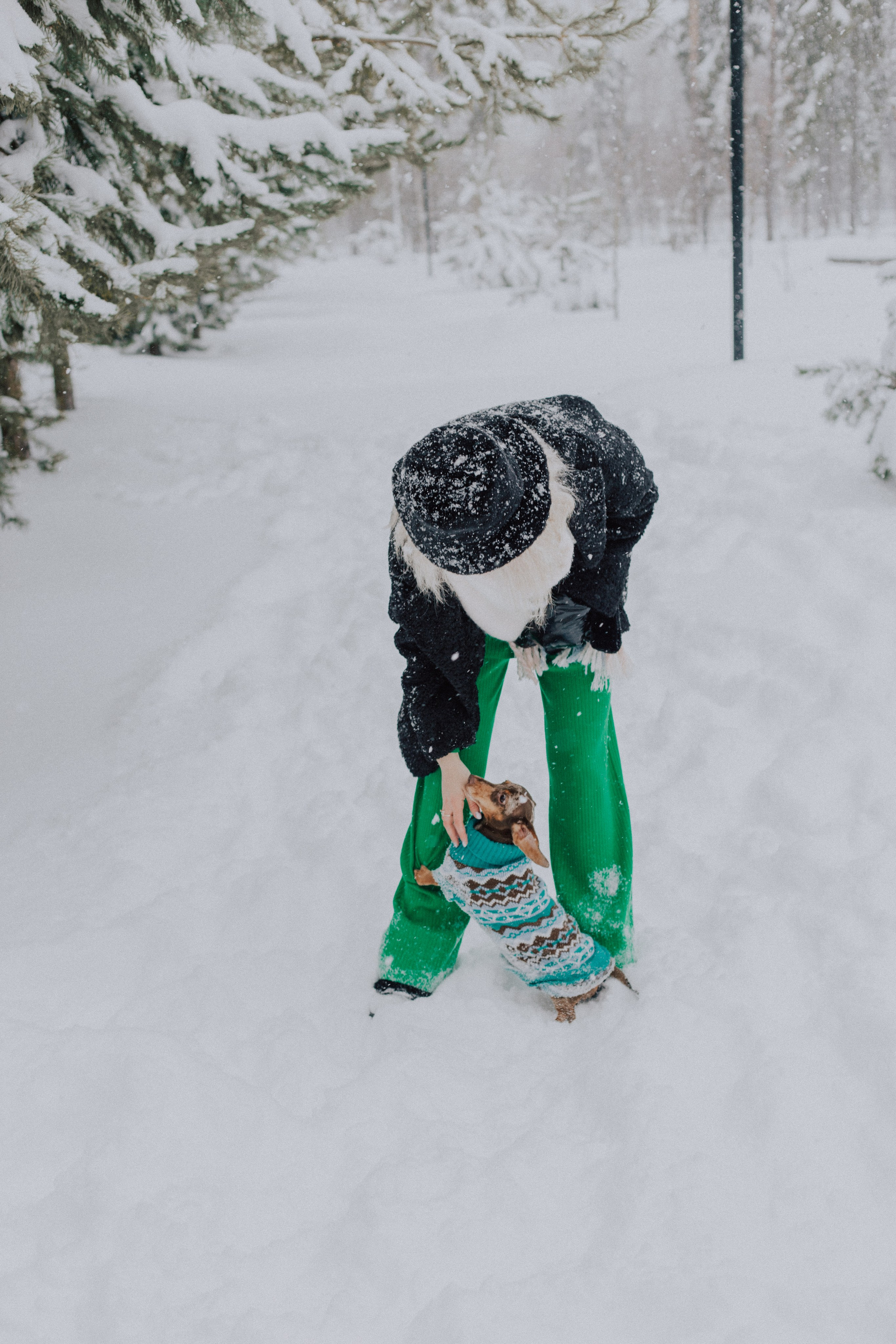 Winter. «A pet». Фотограф Москва / Балашиха