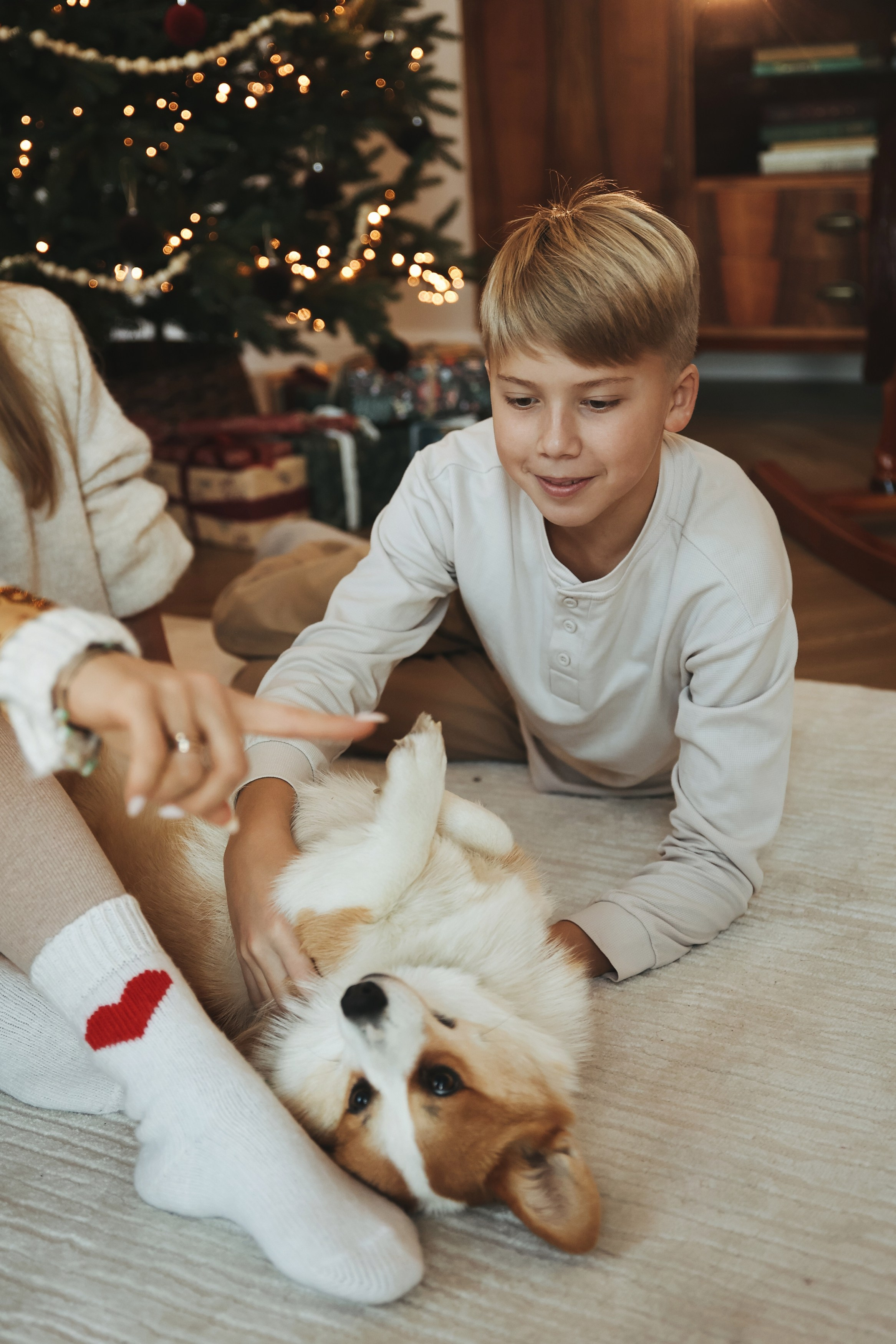 Новогодняя фотосессия во Владимире съемка на новый год фотосессия в студии фотограф во Владимире фотограф в Москве корги. Фотограф Владимир Москва