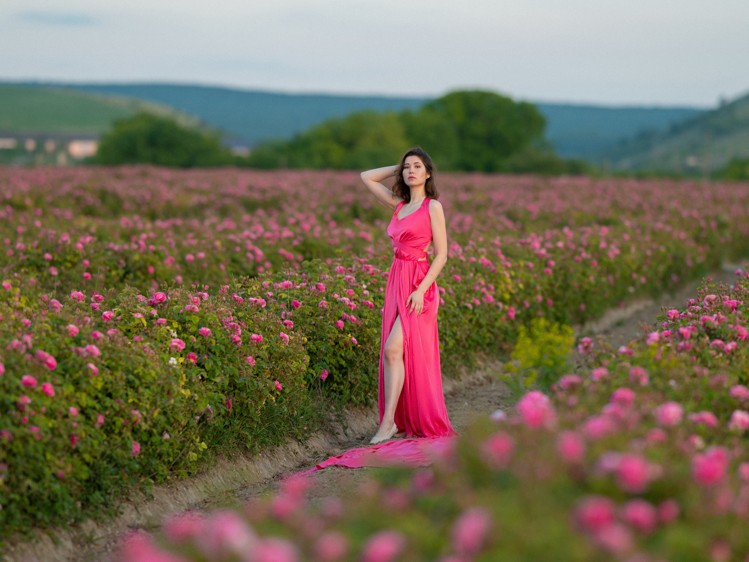 Выездная фотосессия в Тургеневку на цветущие розы