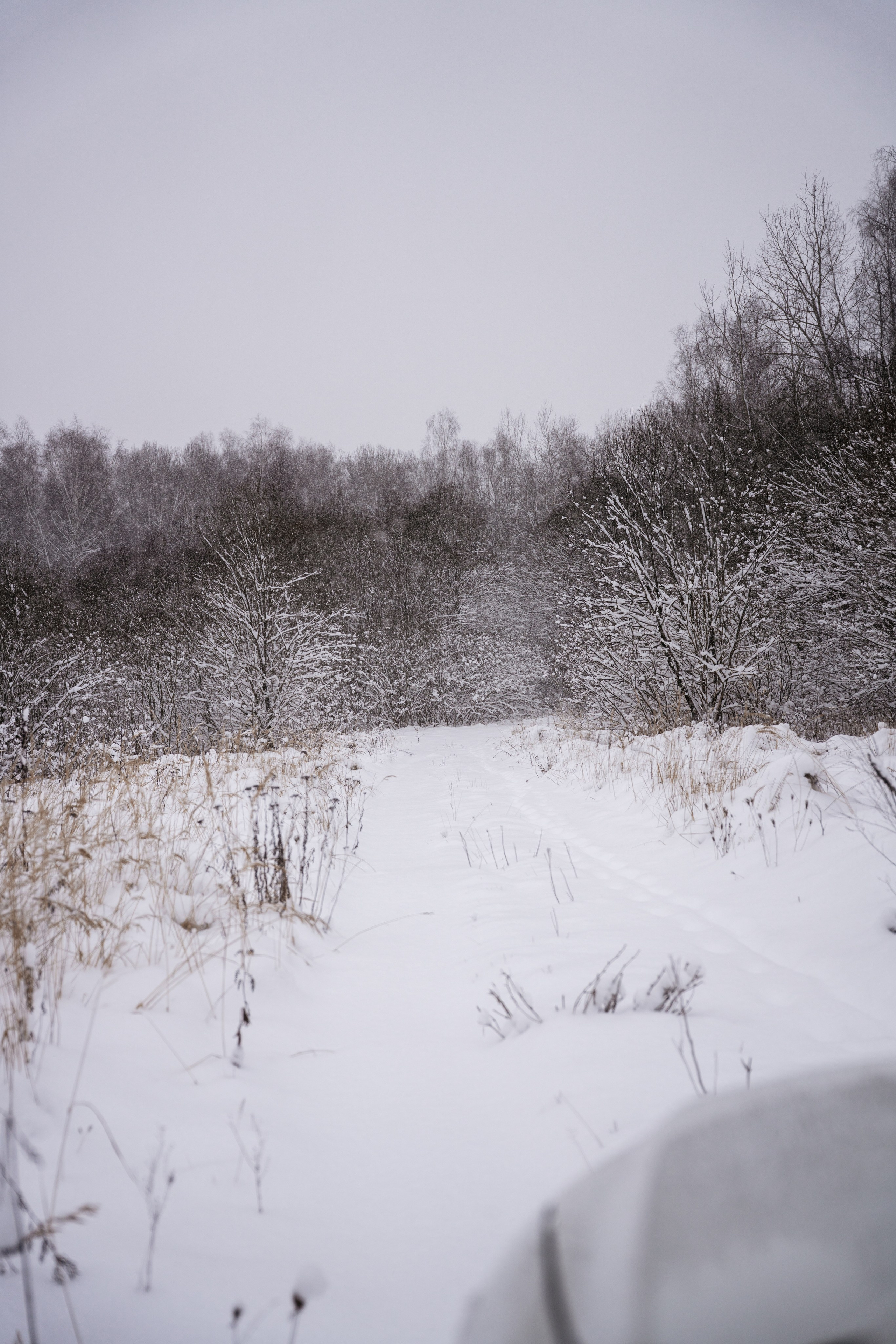 Поездка к р. Песочня и деревне Раевское. Vlad Trykov