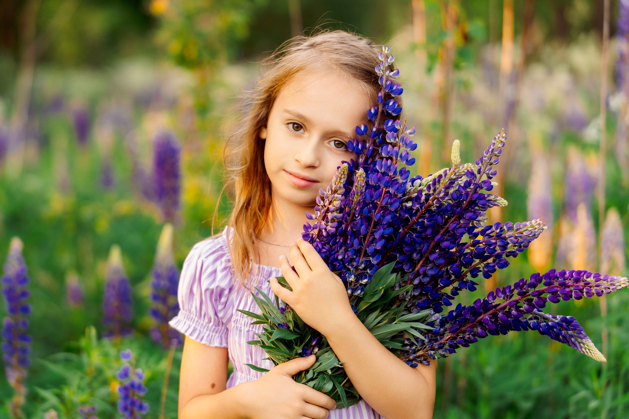 Люпины. Фотограф Юлия Попова