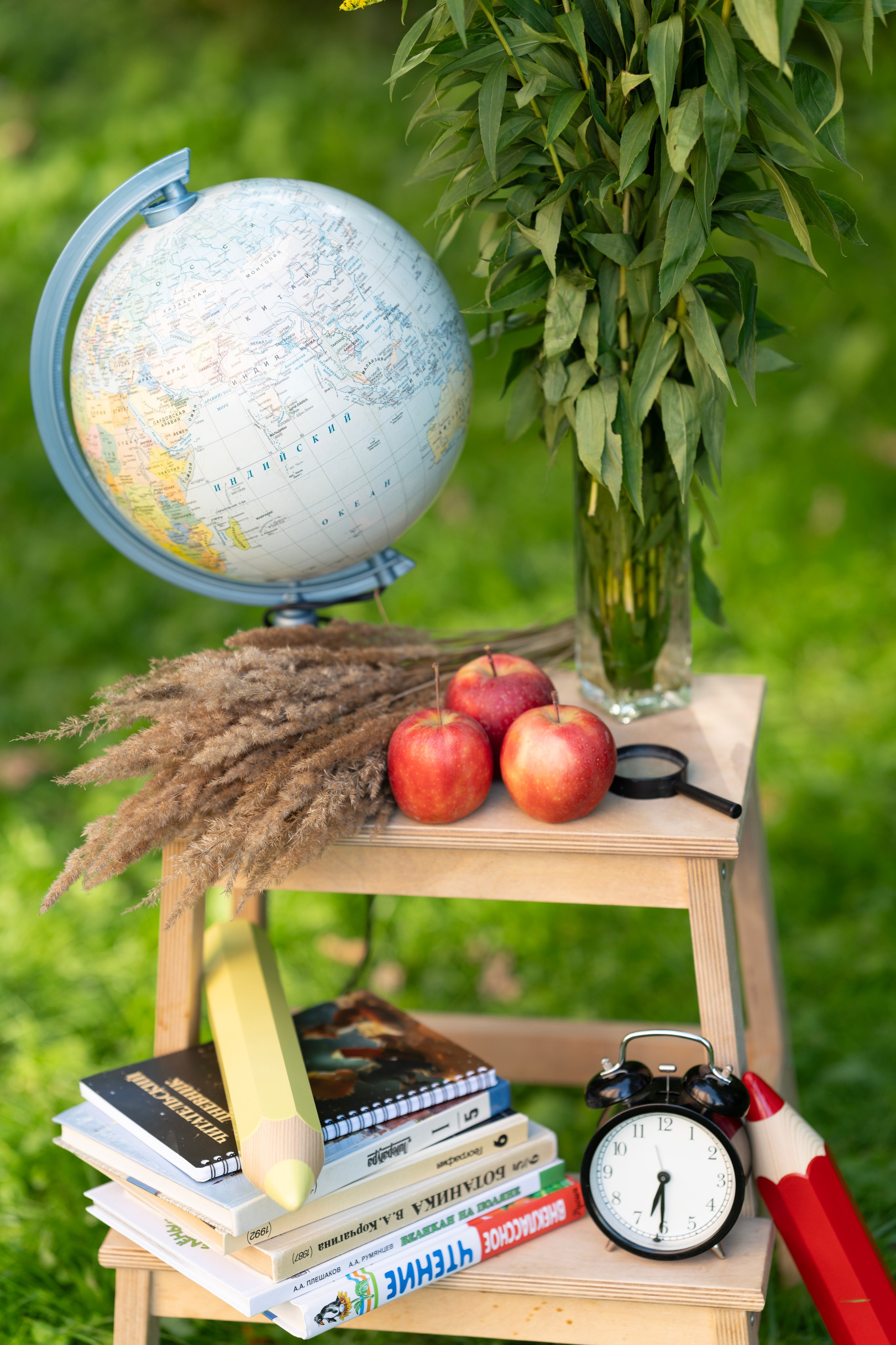 Здравствуй, школа!. Фотограф Юлия Попова