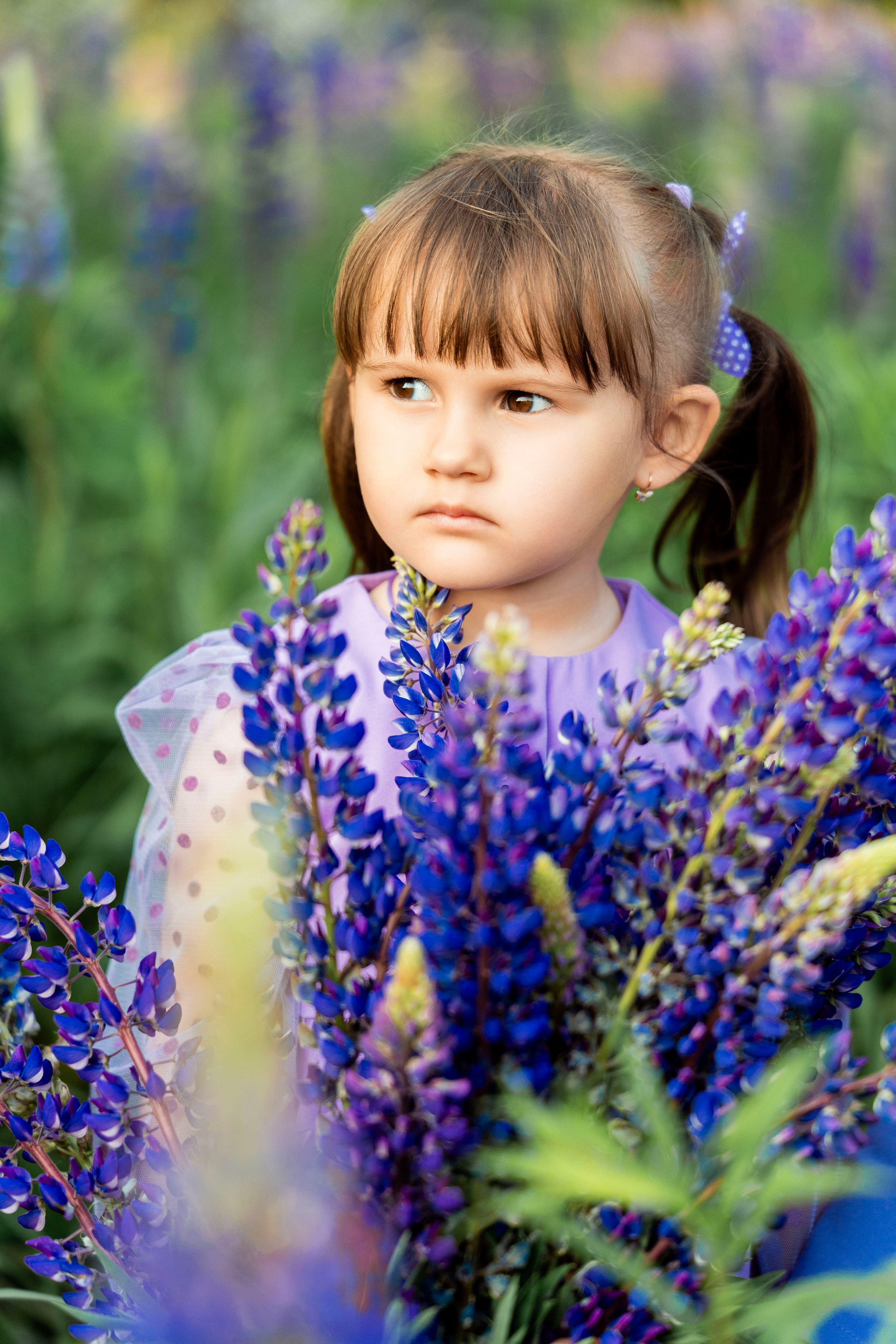 Люпины. Фотограф Юлия Попова
