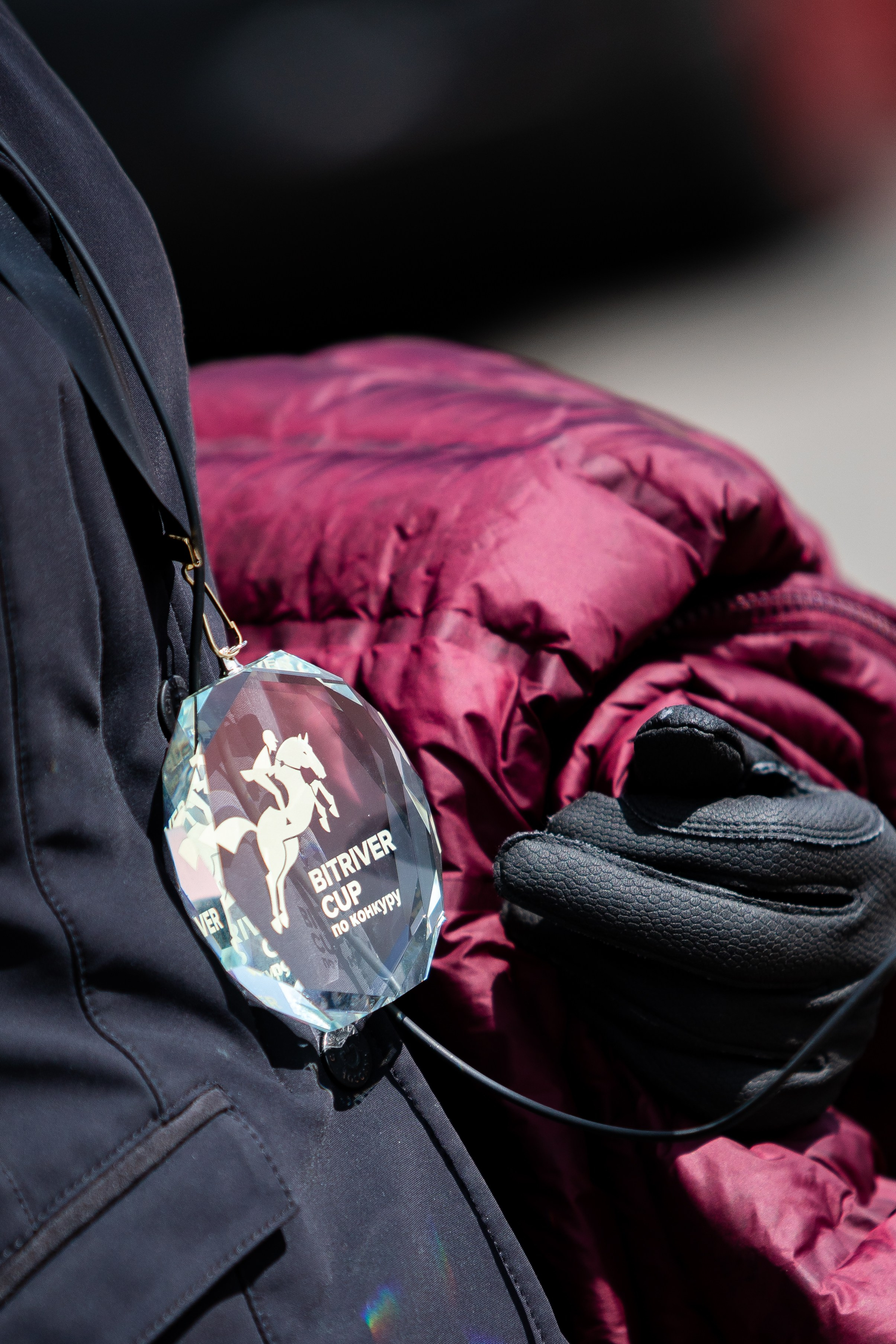 Турниры. Veronika Makeeva horse photo