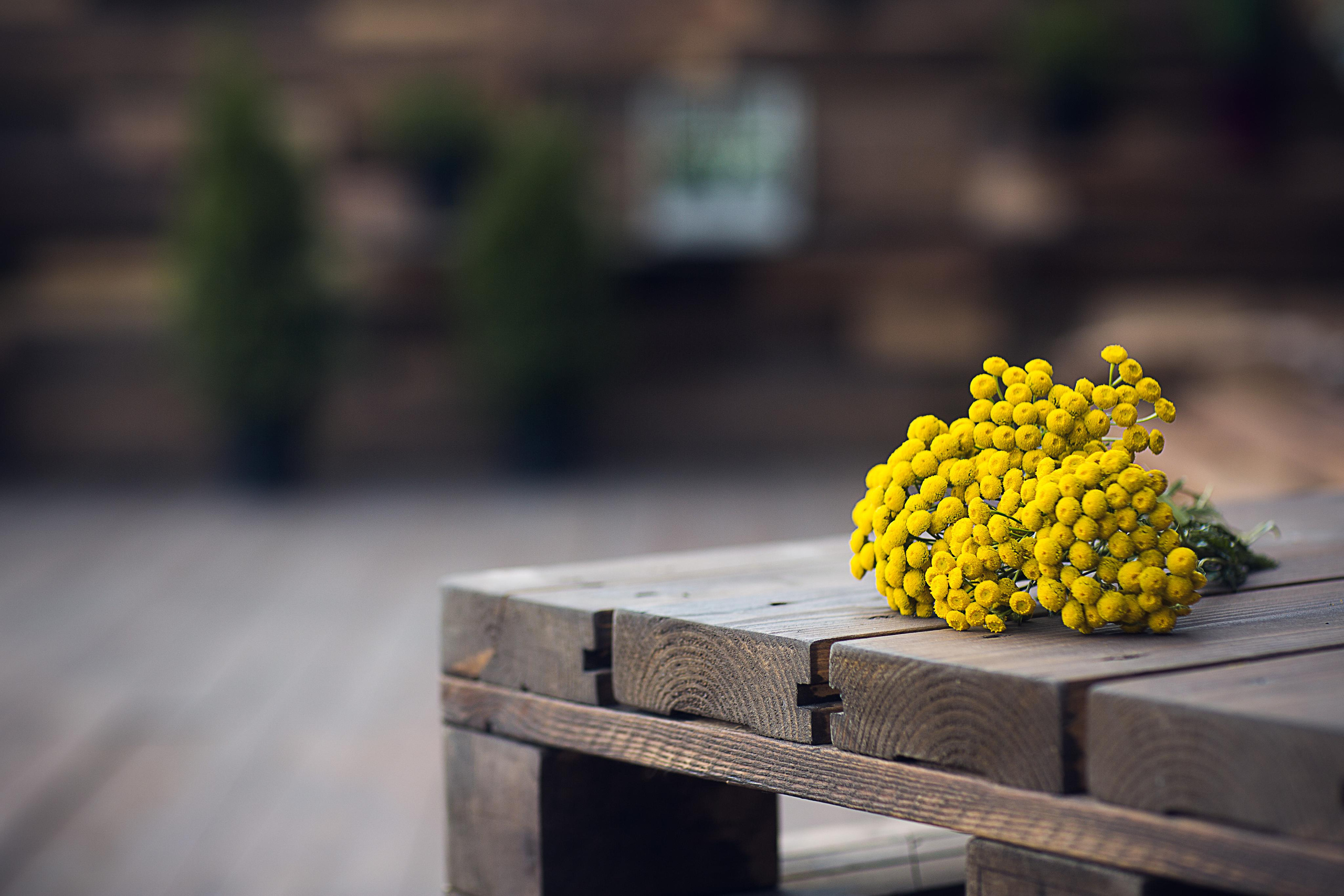 Катарина. Анна Гидрос — профессиональный фотограф в Санкт-Петербурге