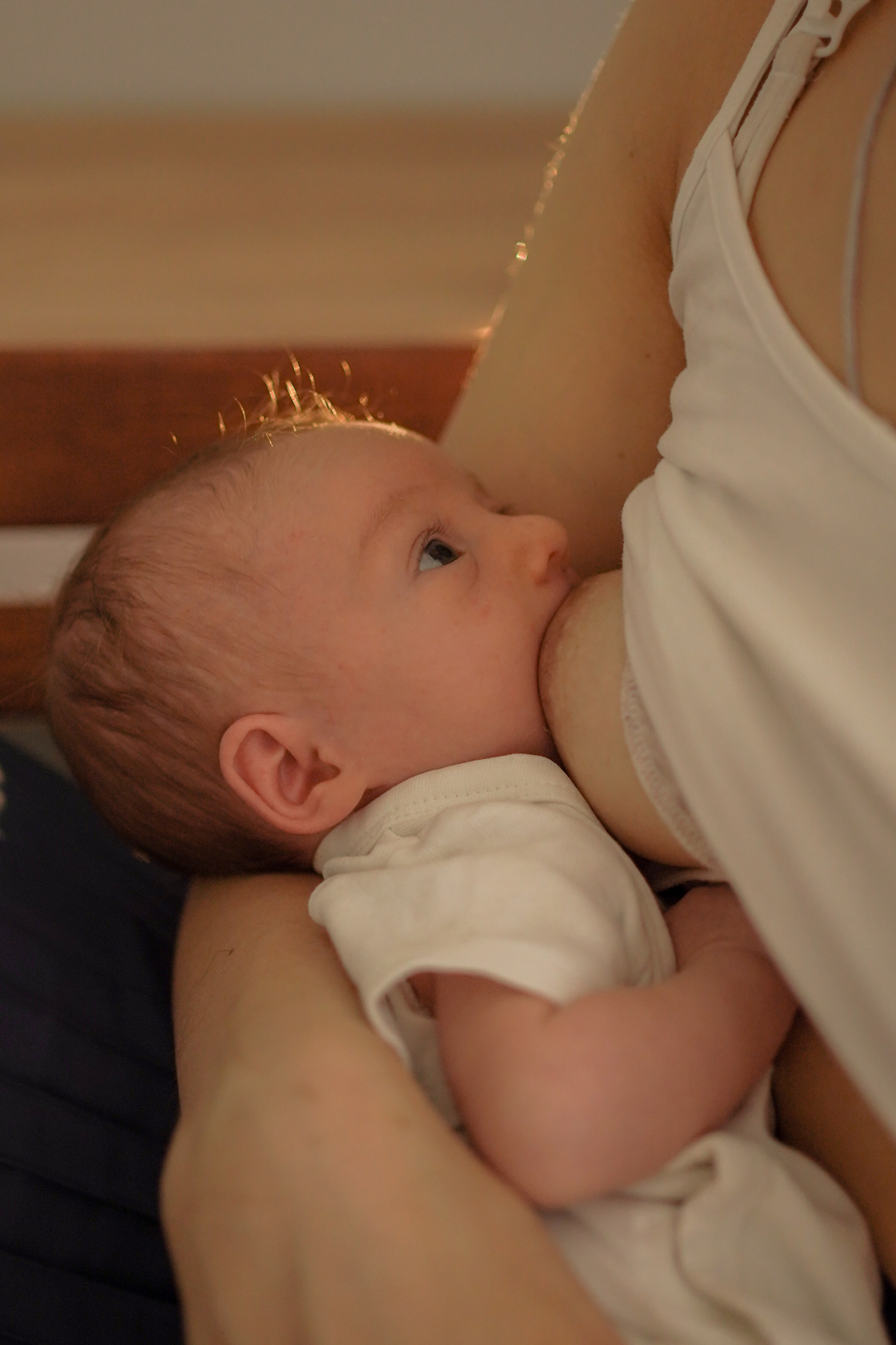 Юля, Сеня, Соня. Фотограф грудного вскармливания в Москве Екатерина