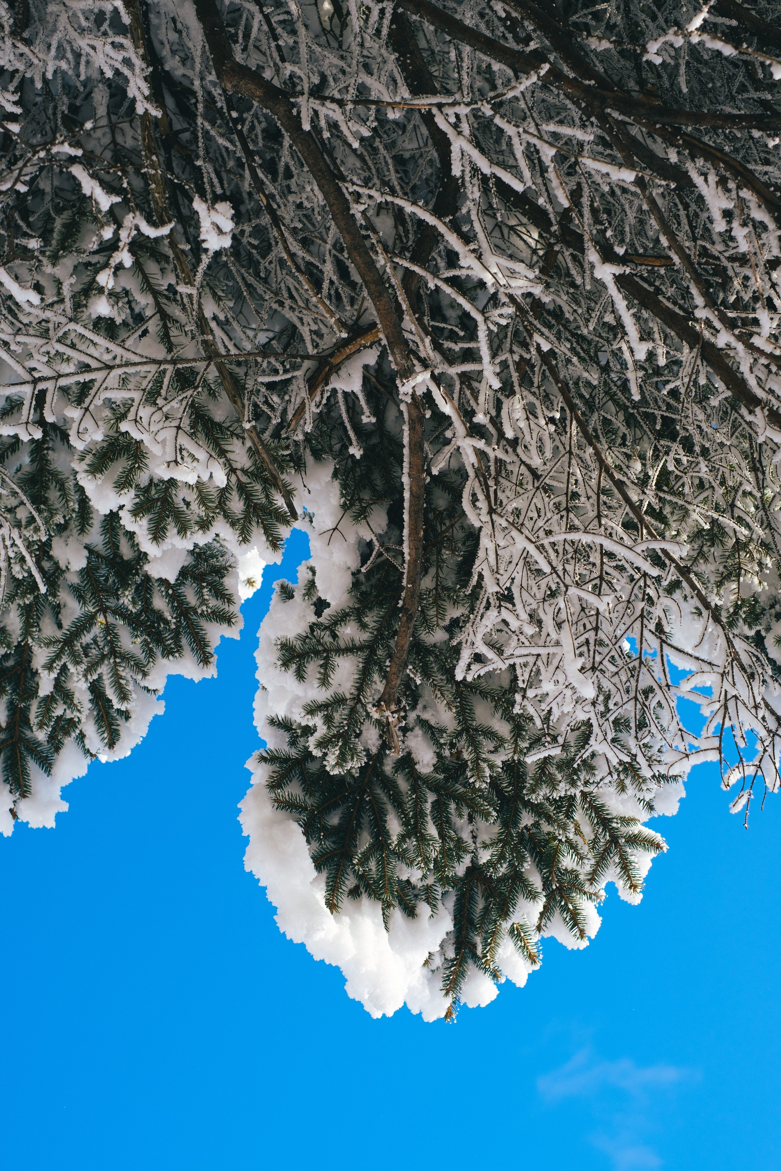Бурейский тур. Фотограф Благовещенска Яна