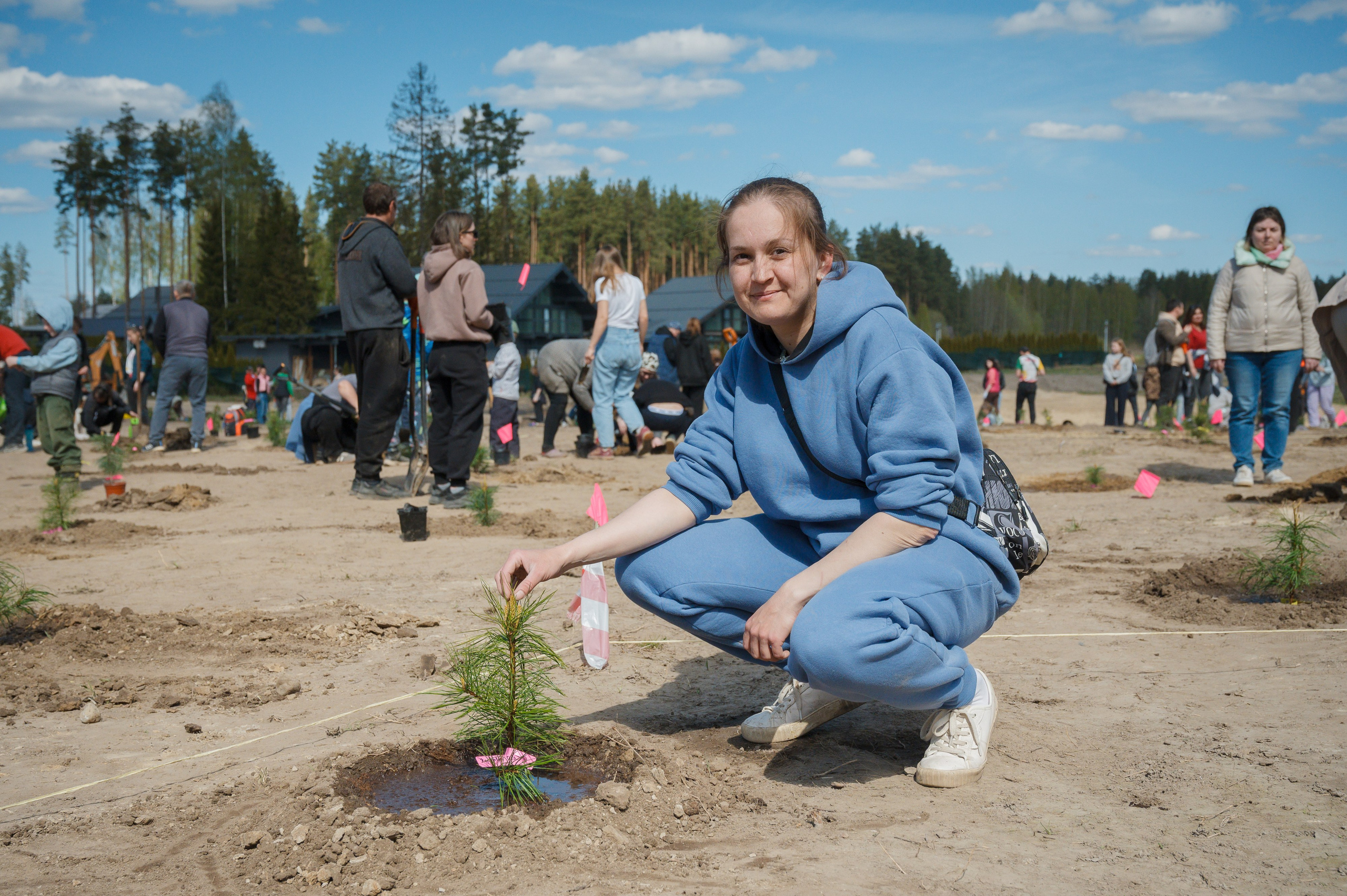 Кедровый парк Biotropika. Ваш свадебный и репортажный фотограф в Санкт-Петербурге Вячеслав Ивахненко
