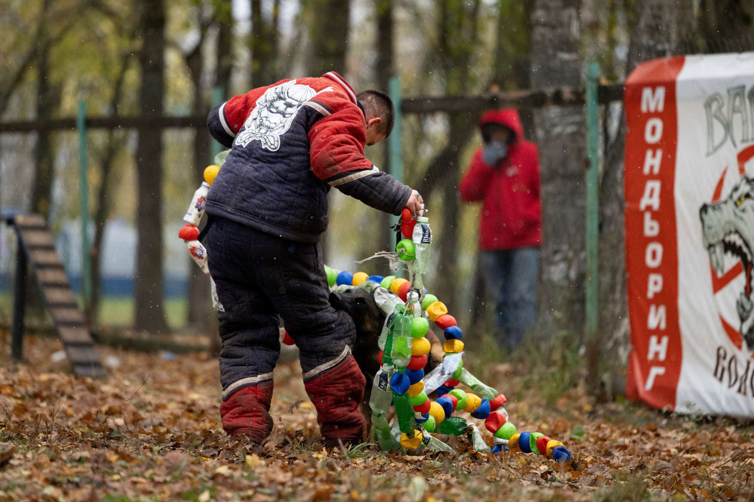 Соревнования по Мондьорингу г. Вологда. Фотограф-анималист Анна Маринич