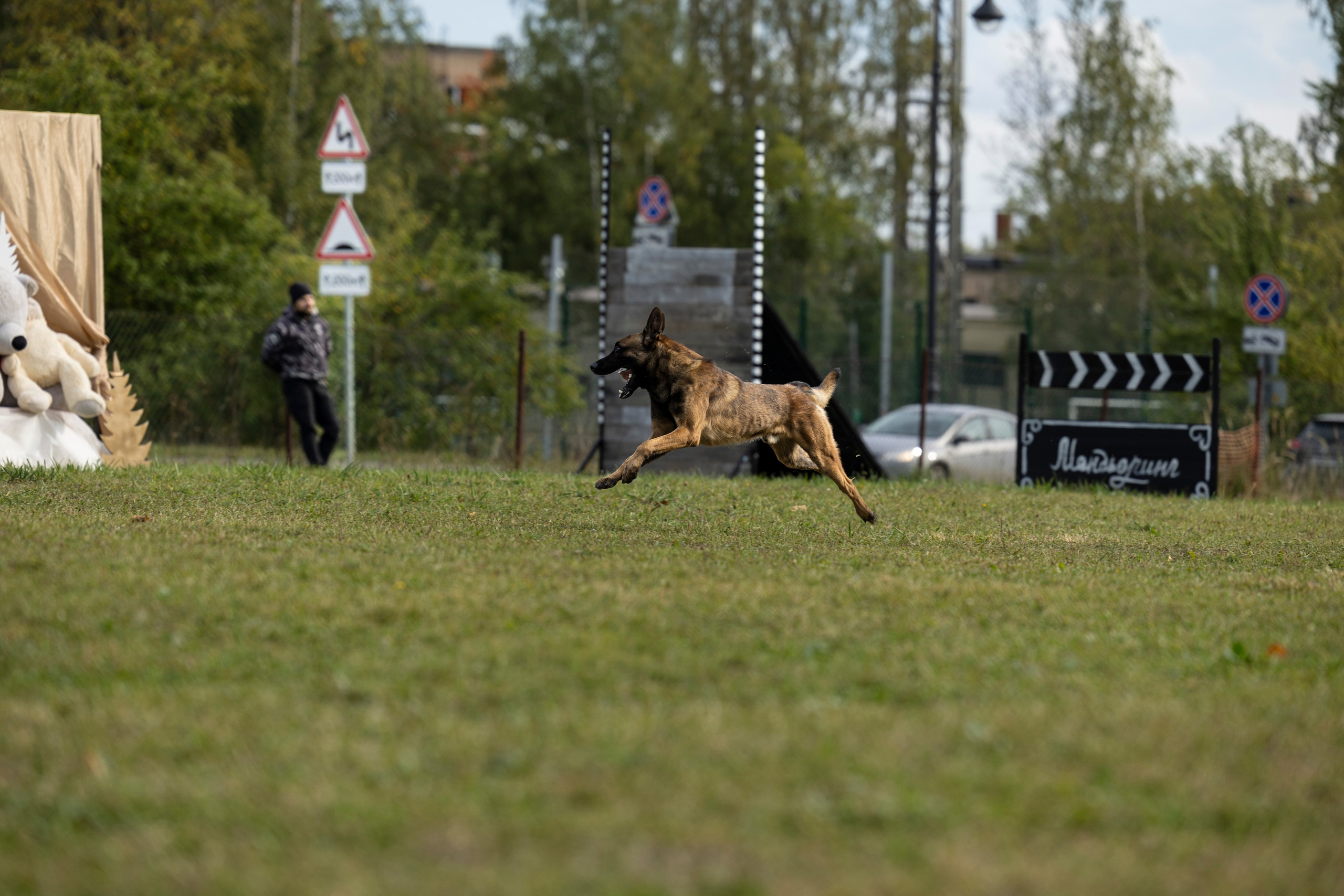 Испытания по Мондьорингу г. Пушкин. Фотограф-анималист Анна Маринич
