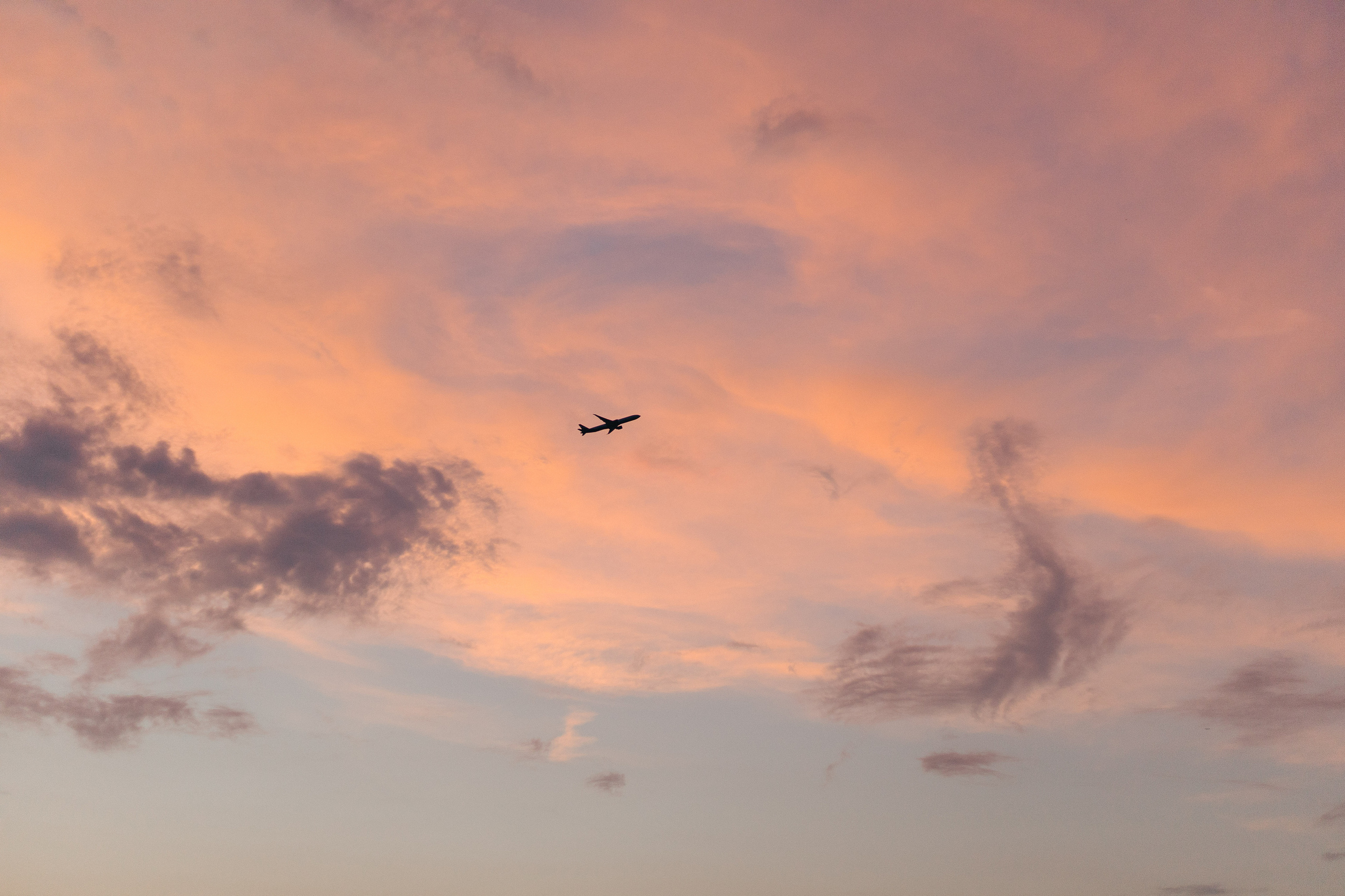 День Насти и Лёши. 26.07.22. Свадебный фотограф Москва Воронеж Ленкова Ксения