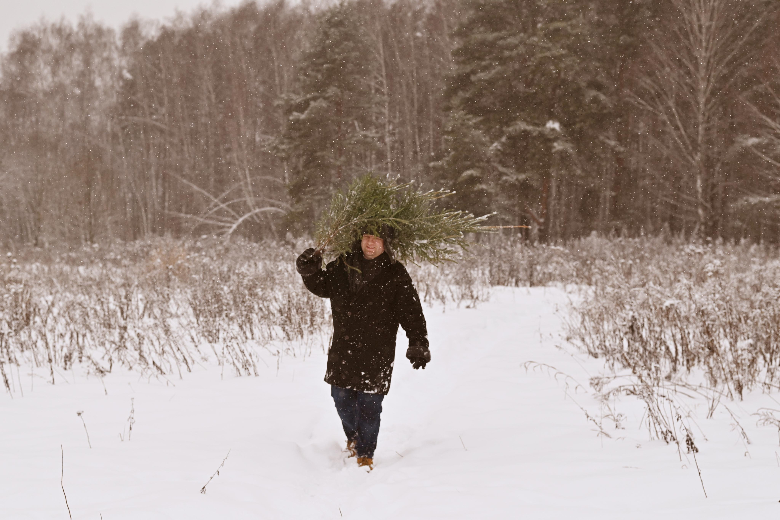 Новогодняя история дочки и папы. Фотограф на Крещение. Семейный фотограф. Москва