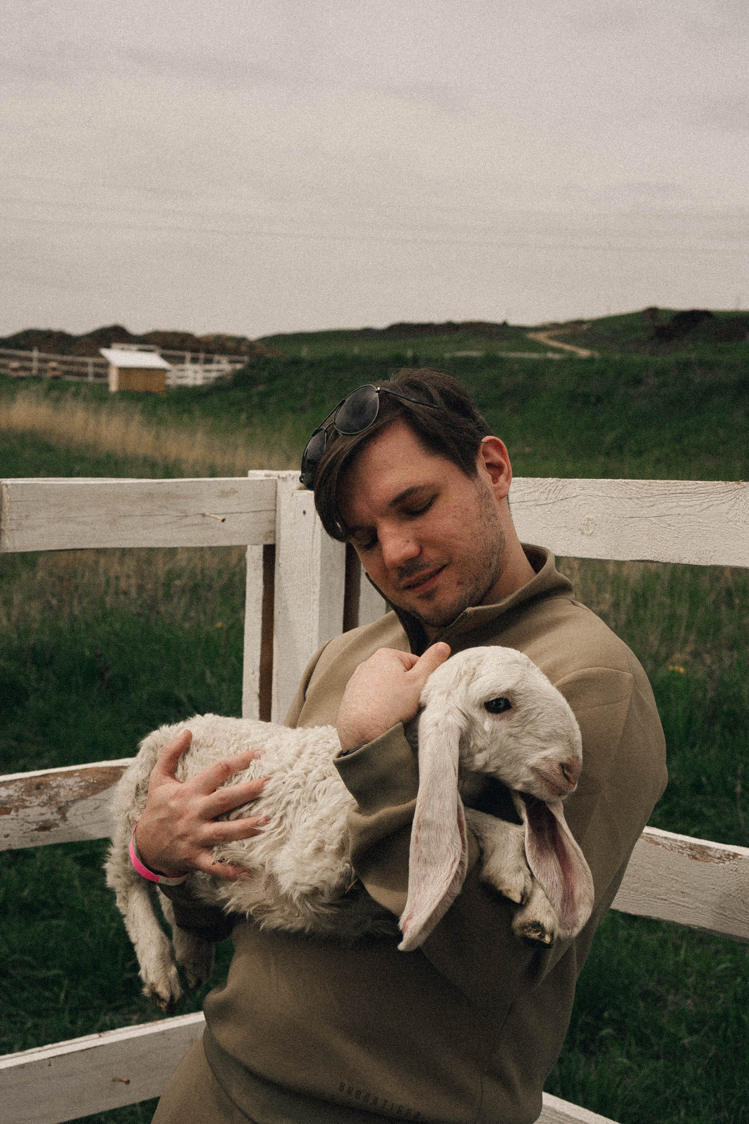 Ферма Альпак. Профессиональный фотограф, Санкт-Петербург — Виктория Богомолова