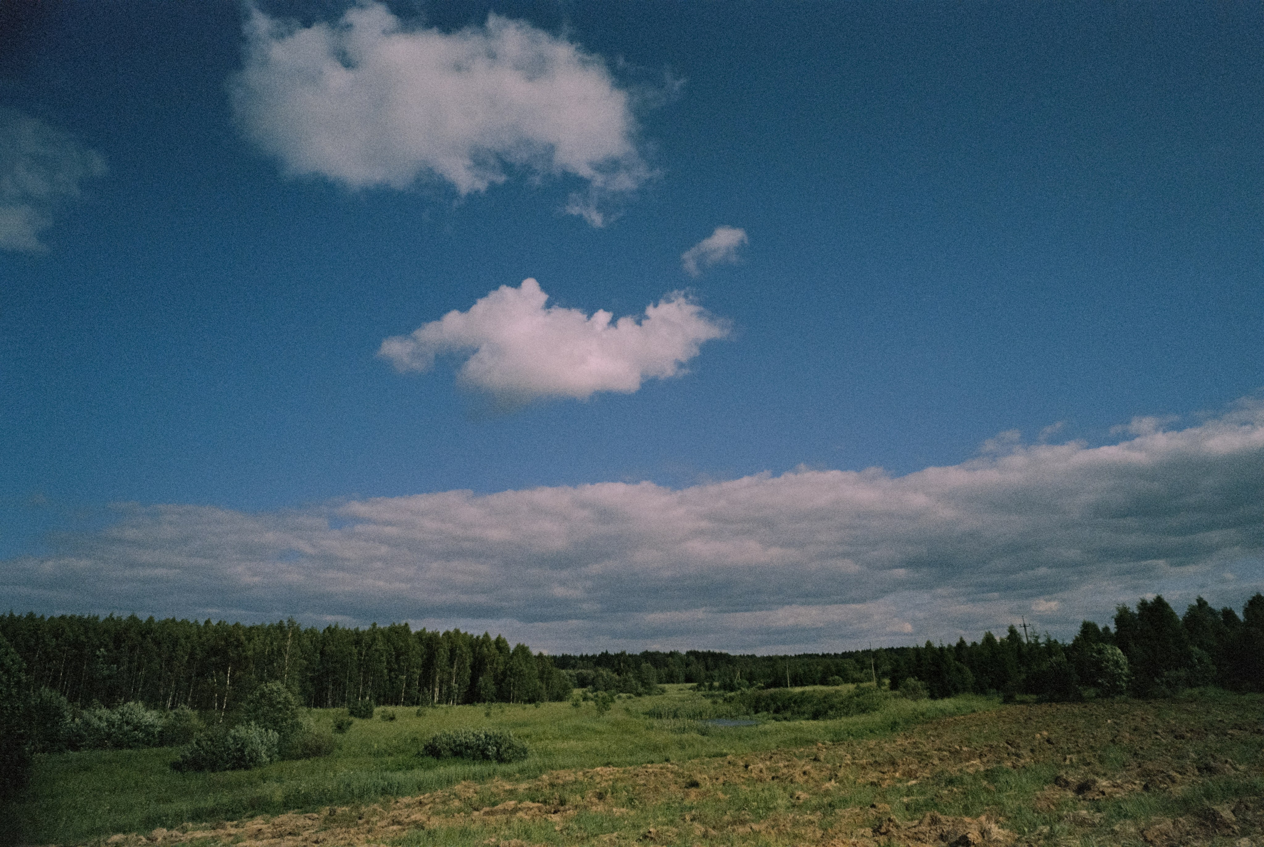 Contax G1 — Carl Zeiss Biogon T* 21 mm f2.8 | Kodak ProImage 100 | Лукино, Строгино