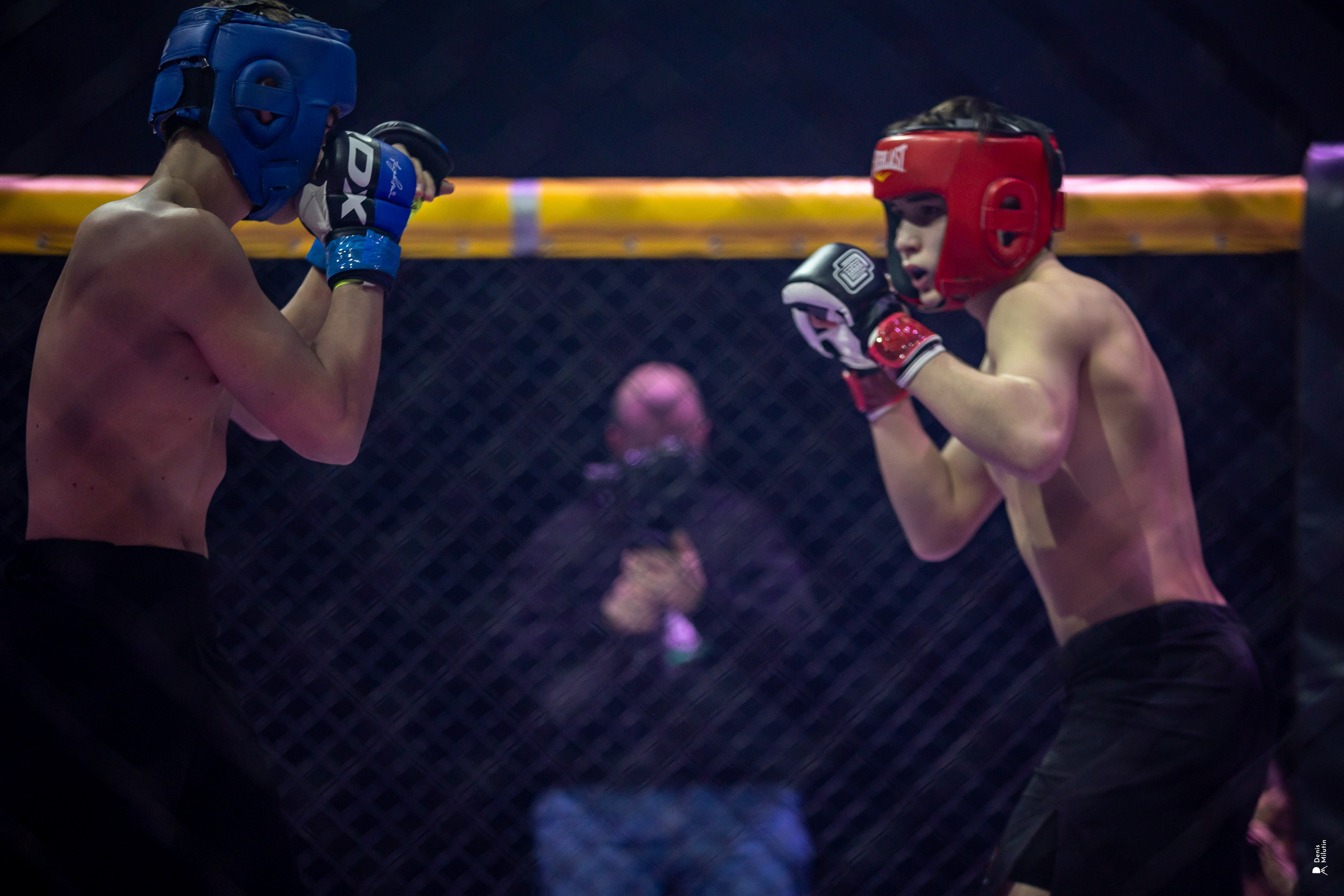 Бои в клетке «Северный Воин». Портретный фотограф Денис Милютин