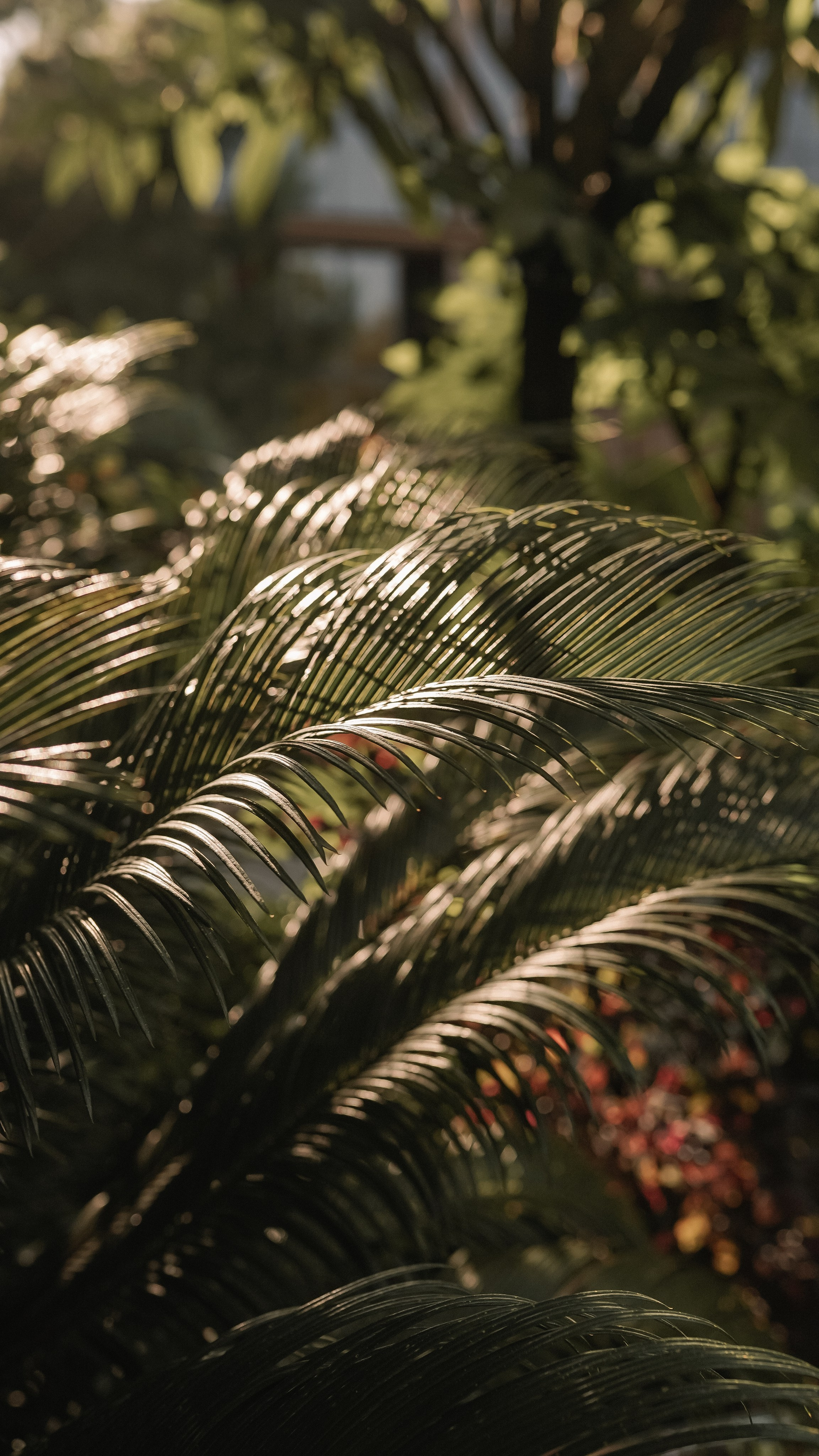 Мамай-Кале — Ресторан в лесу. Милана Довгаль - семейный фотограф и видеограф  в Адлере и Сочи