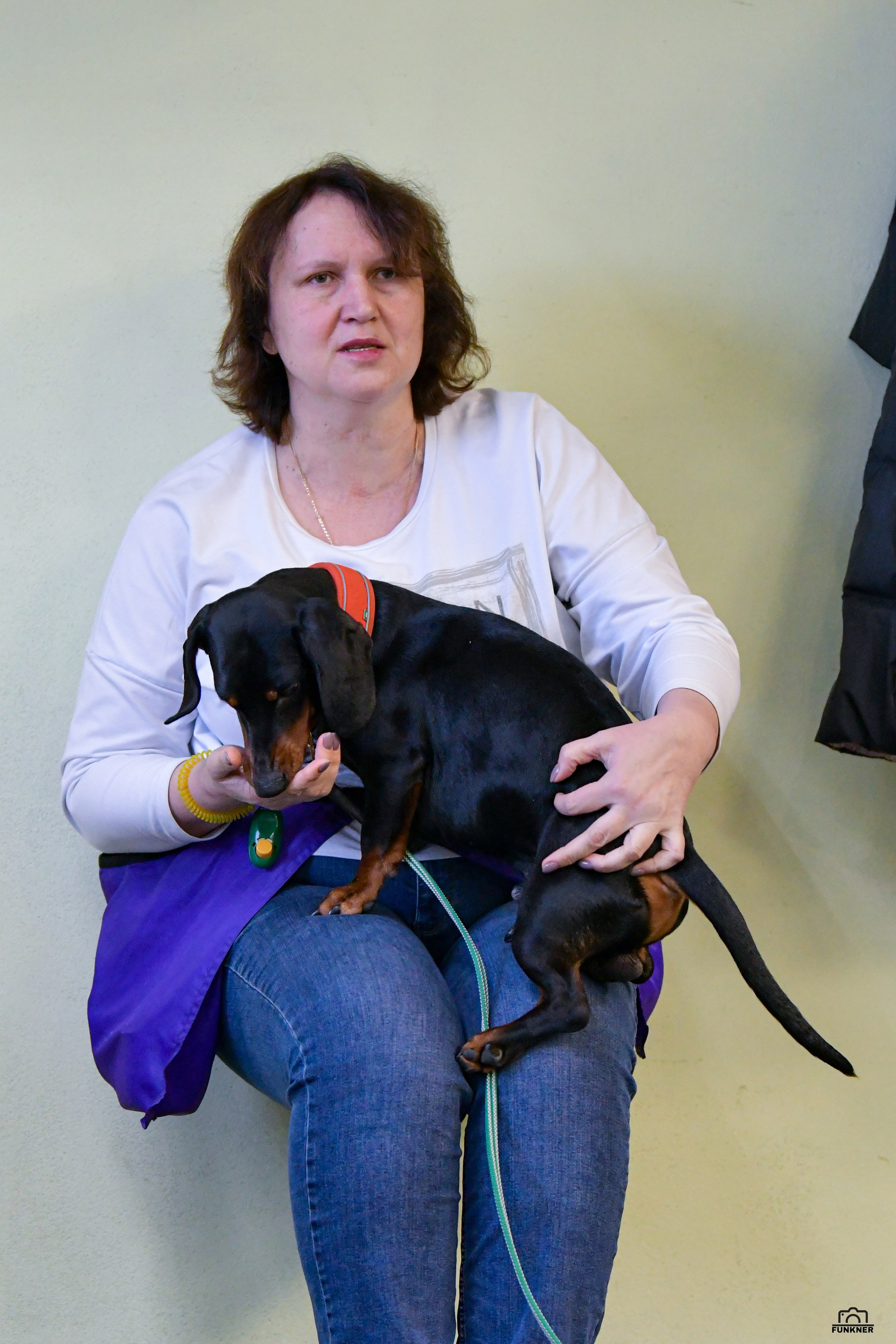 Кинологический клуб «Бодрый хвост». Свой взгляд через объектив