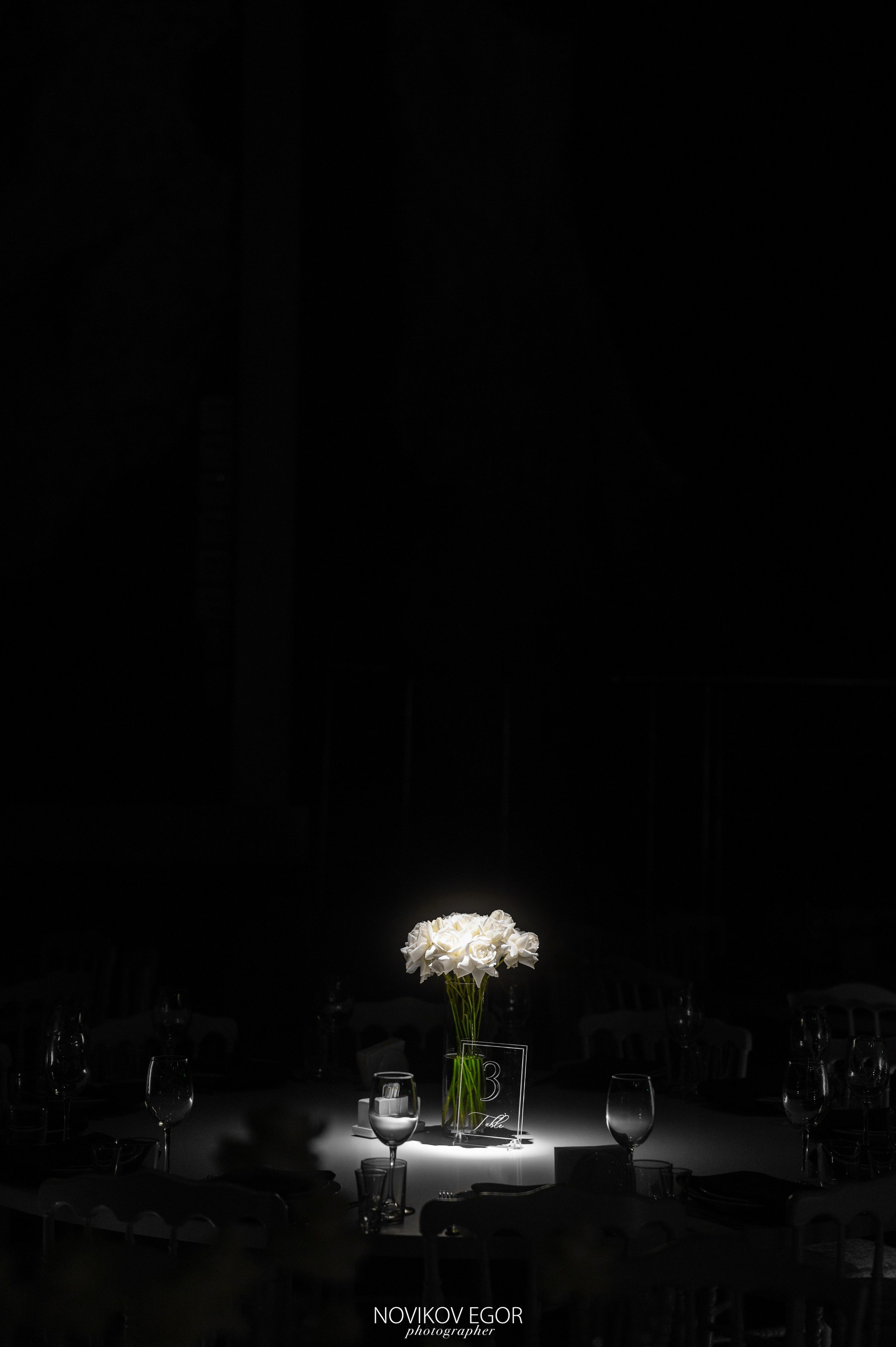 30ЛЕТ группе компаний Фармацевт. Фотограф Ростов-на-Дону