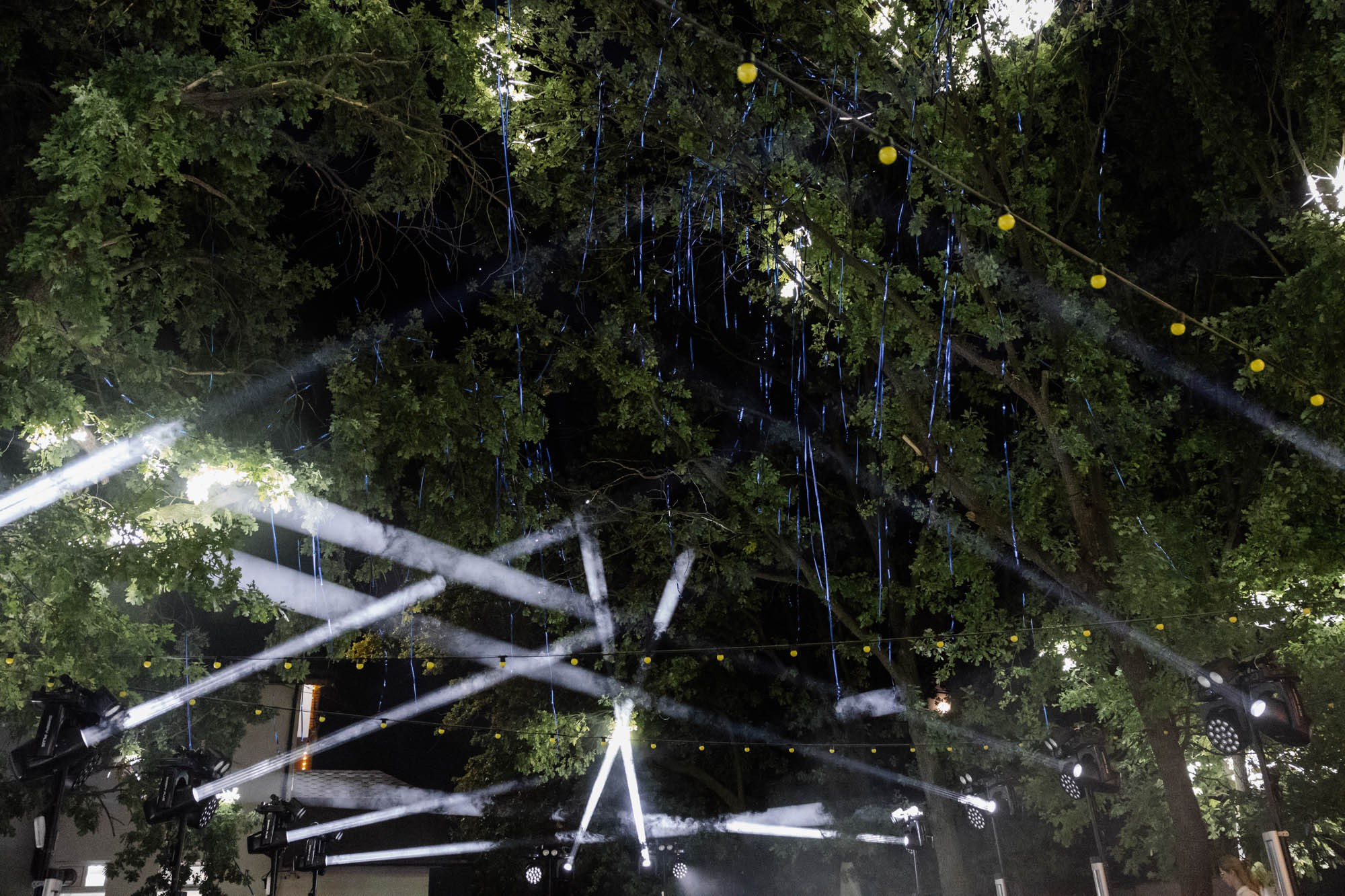 Свежий воздух. Владимир Киселев — свадебный фотограф в Саратове, Москве и по всему миру