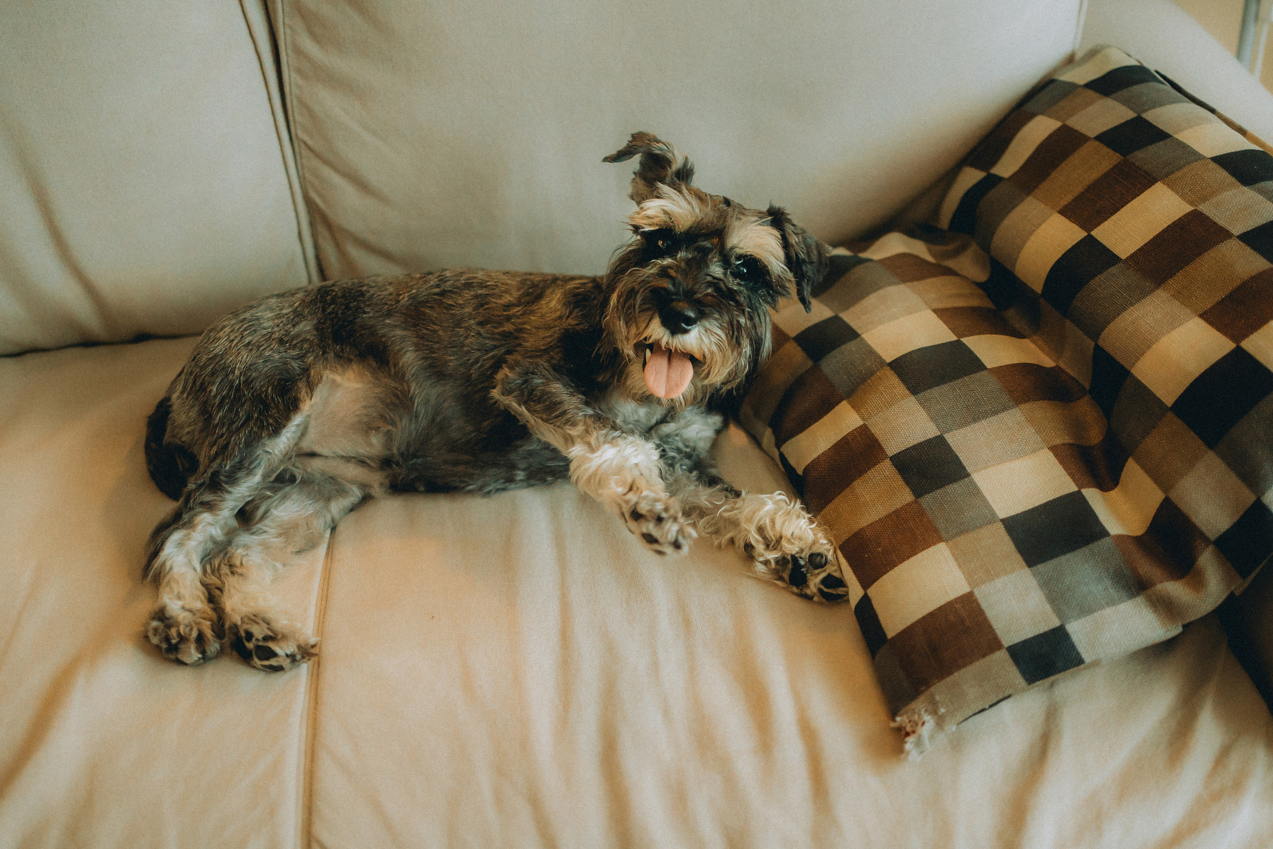 Лена и Зефир