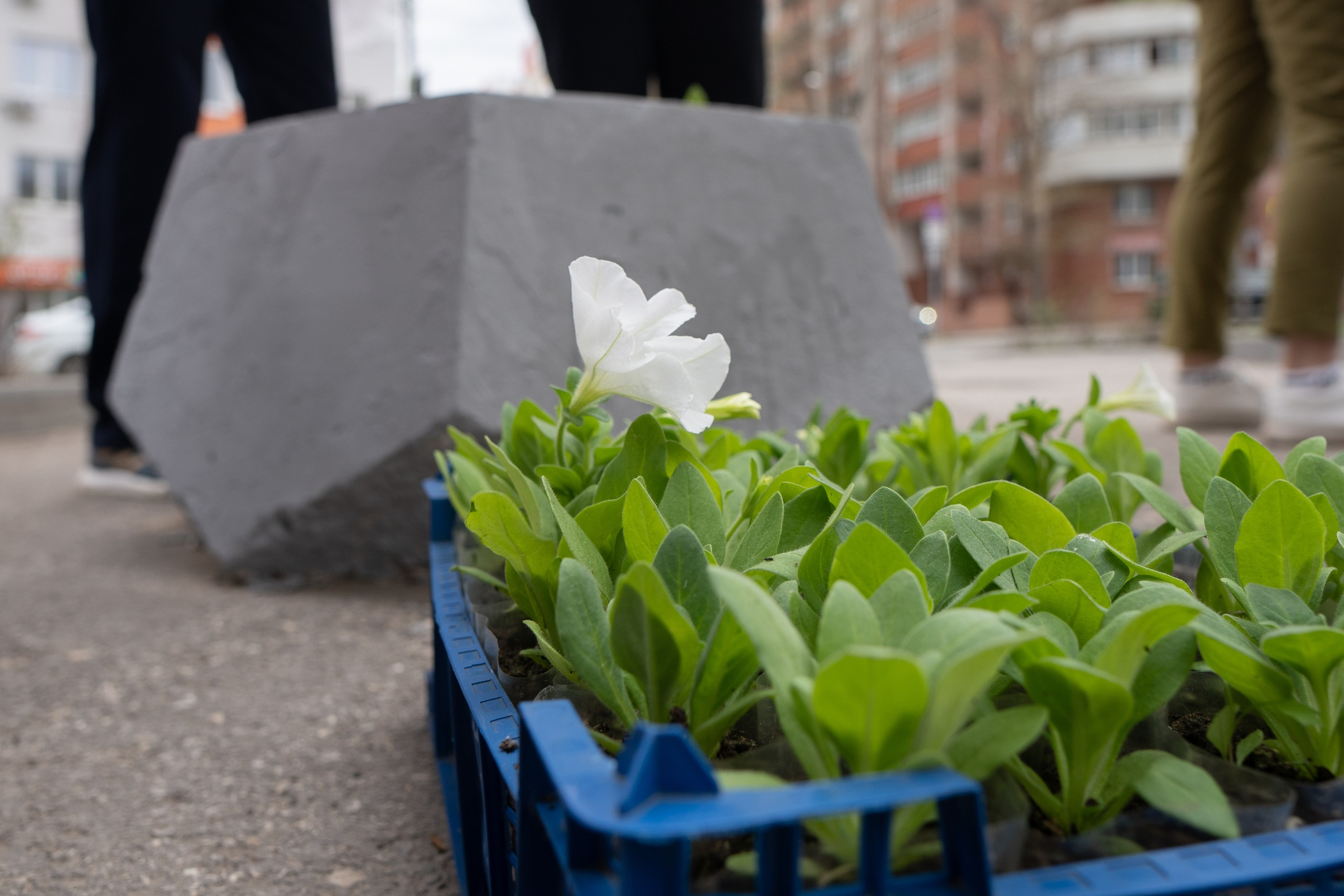 Субботник в ЖК «Панова парк». Фотограф в Самаре Иван Булатов