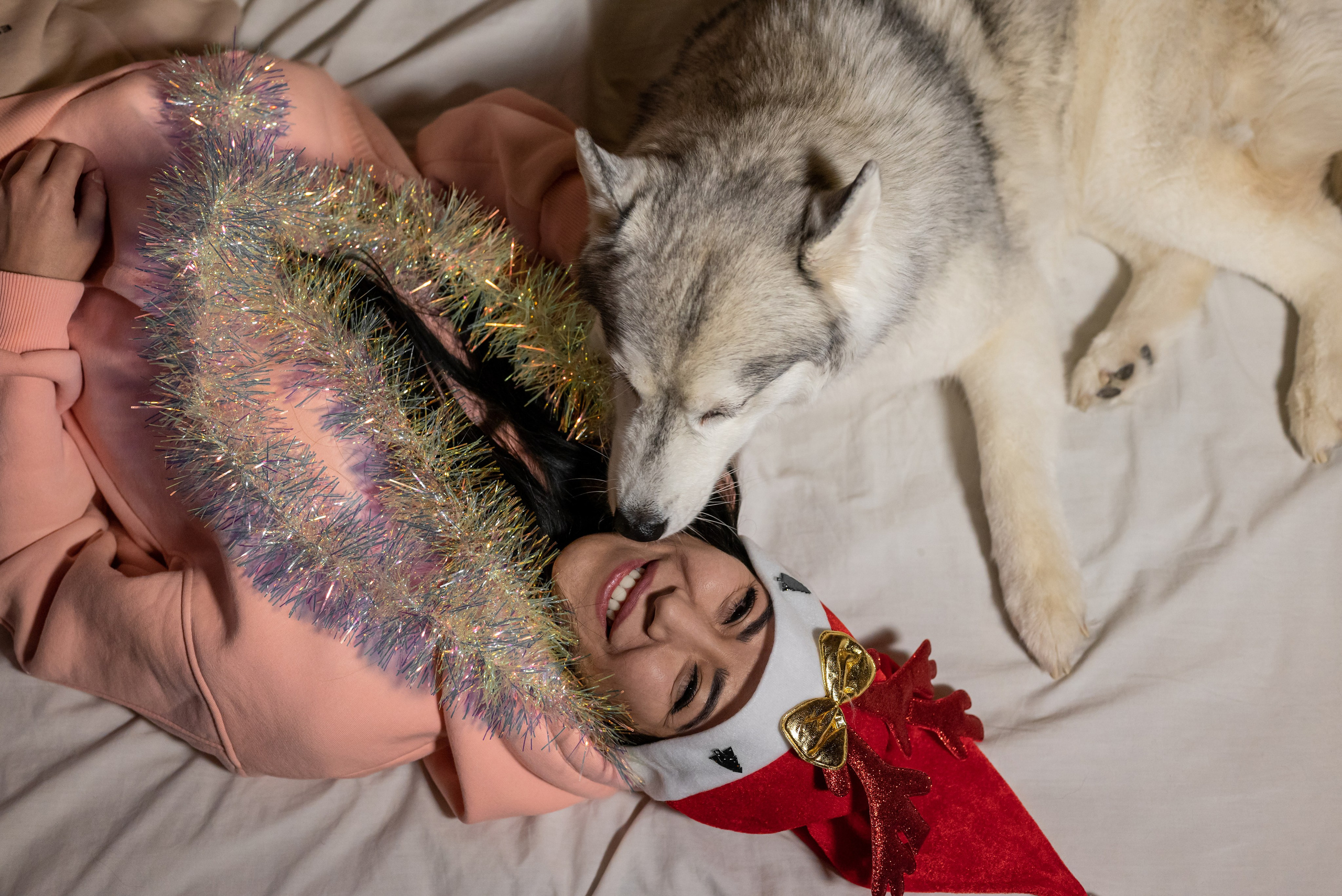 Фотопроект с хаски 2025 г. Фотограф в городе Салават