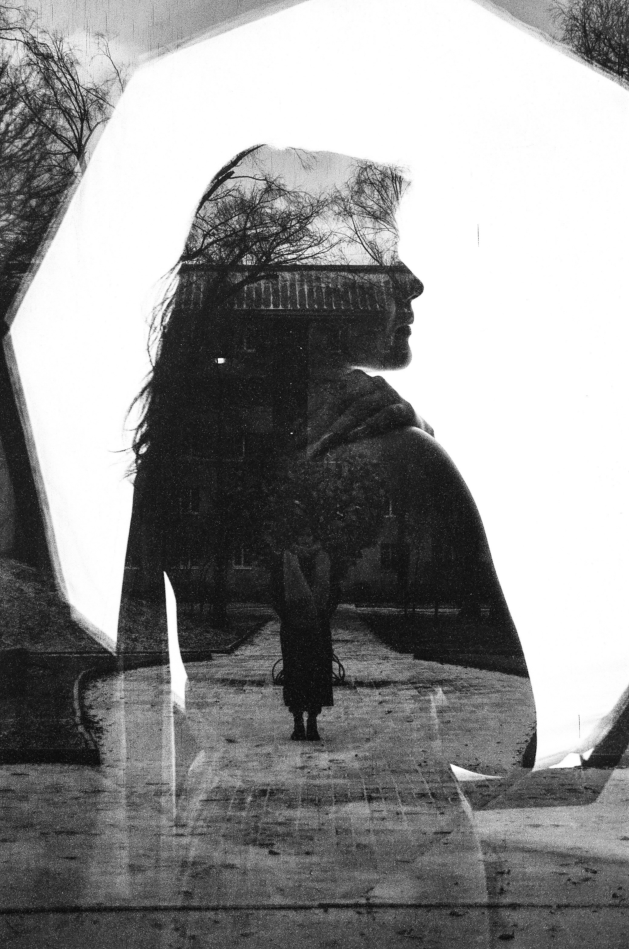 Из наблюдений. Плак или Квак