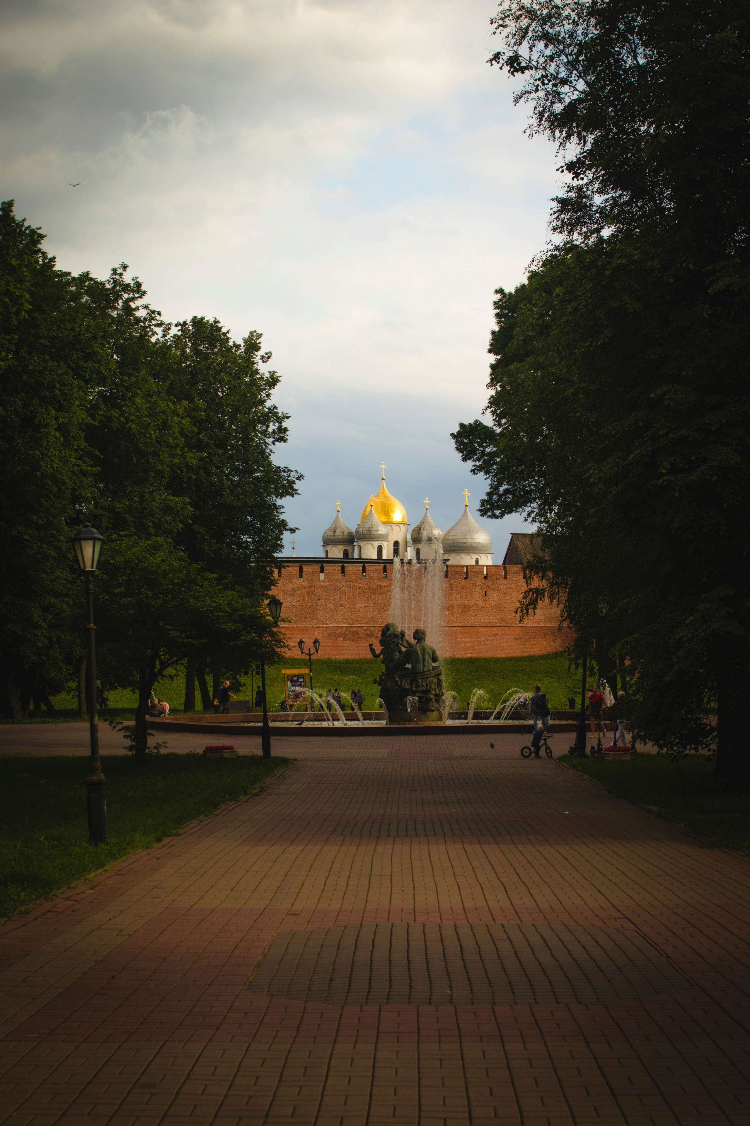 Из наблюдений. Плак или Квак