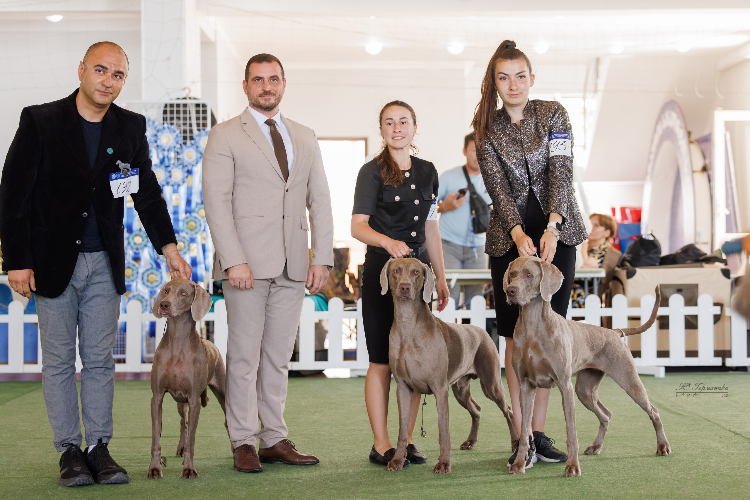 Батуми 3хCACIB 27-29.06.2025. Фотограф-анималист Юлия Германика