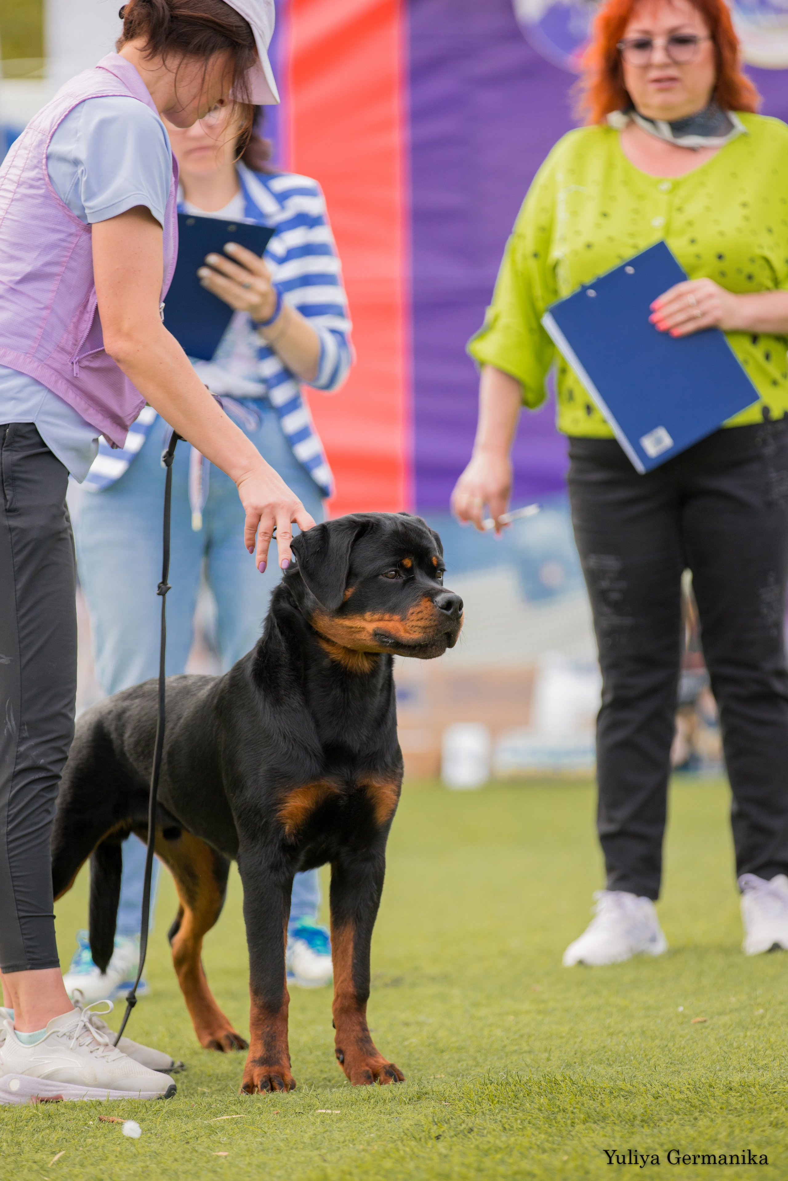Анапа 16-17.09.2023 моно ротвейлеров. Фотограф-анималист Юлия Германика