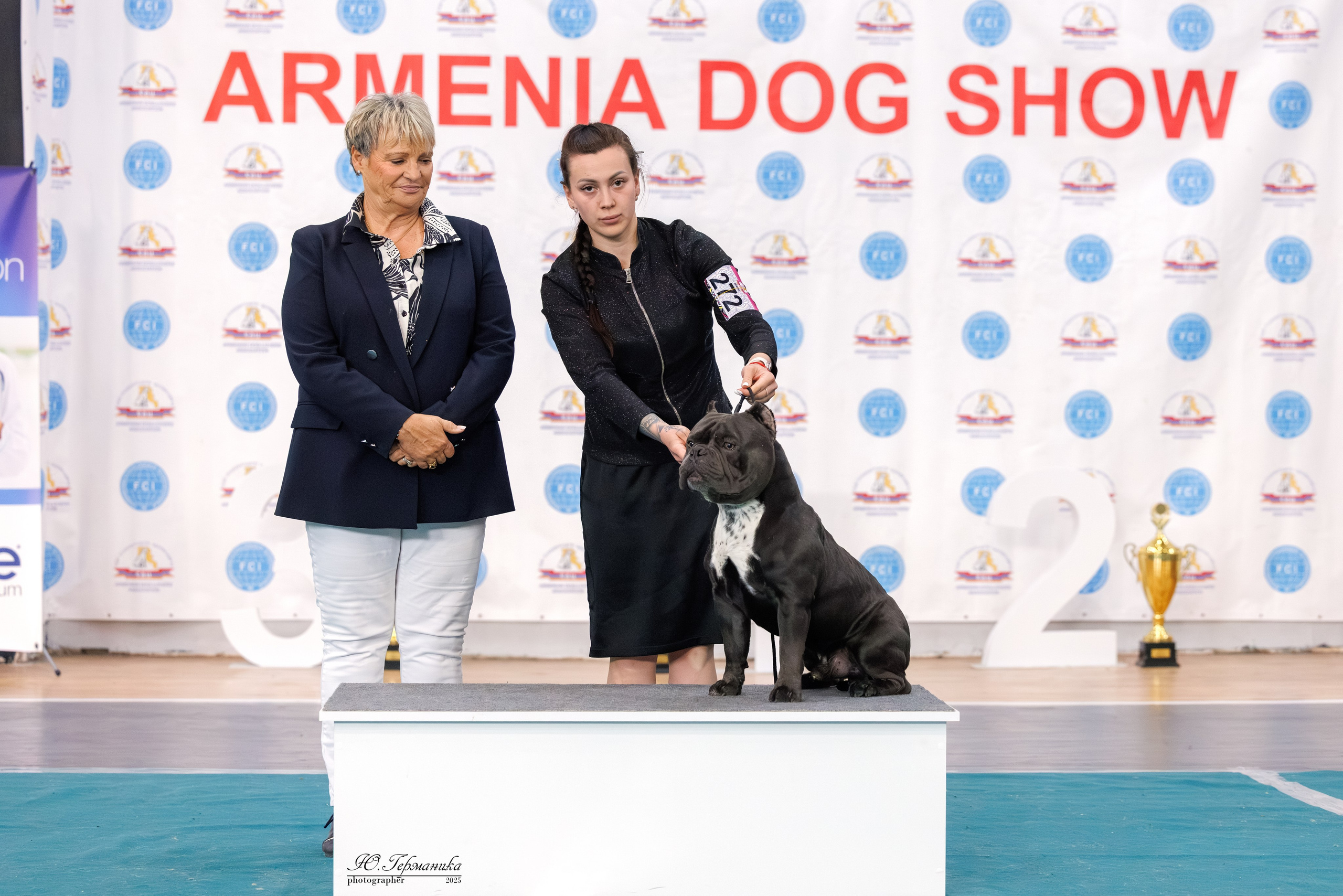 Ереван 2х CACIB 29-30.04.2025. Фотограф-анималист Юлия Германика