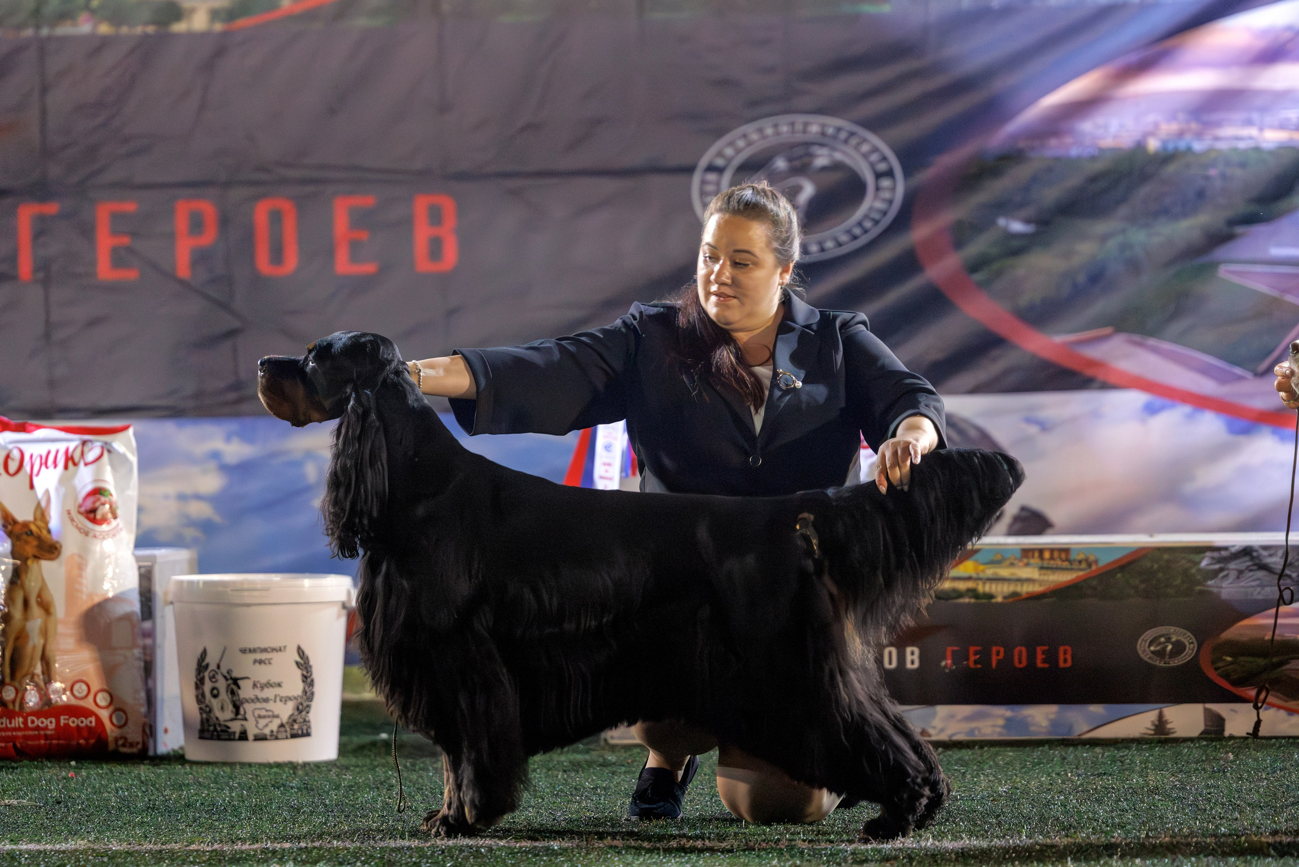 Калининград 25-27.07 Волгоград 1-3.08 2025. Фотограф-анималист Юлия Германика