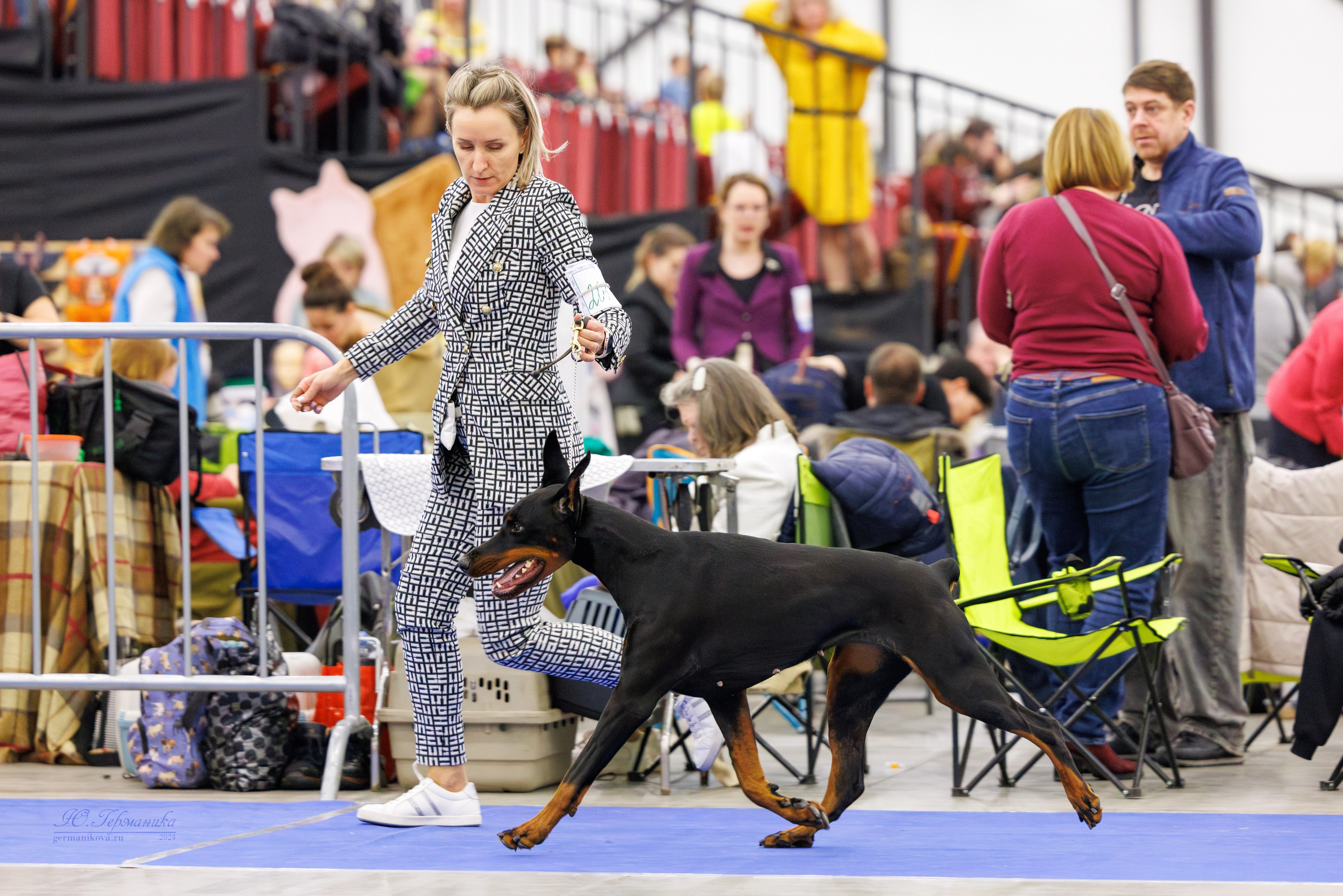 Санкт-Петербург 14.12.2024 ОС. Фотограф-анималист Юлия Германика