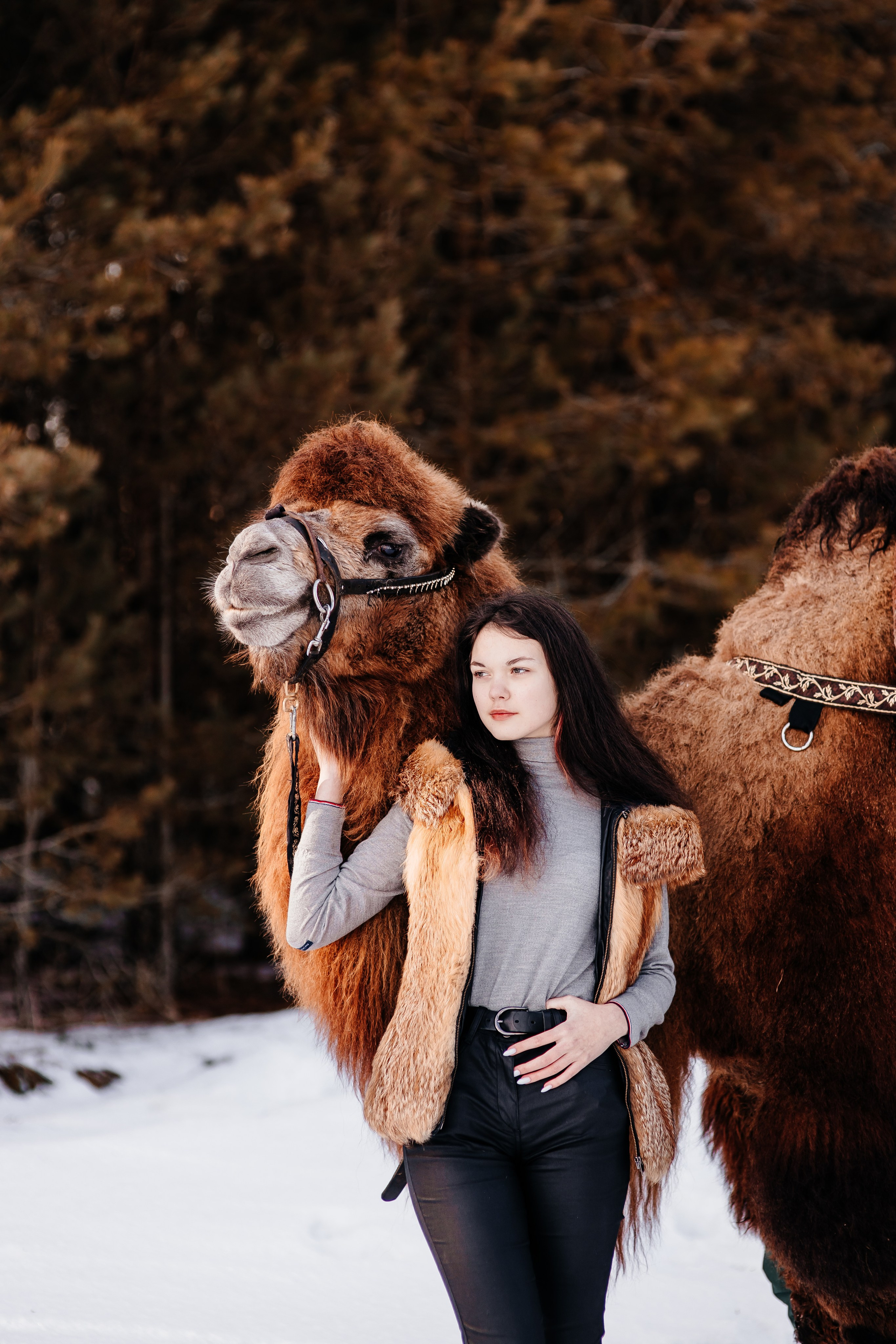 Леденящее приключение. Фотосессии Фотодни Псков СПб