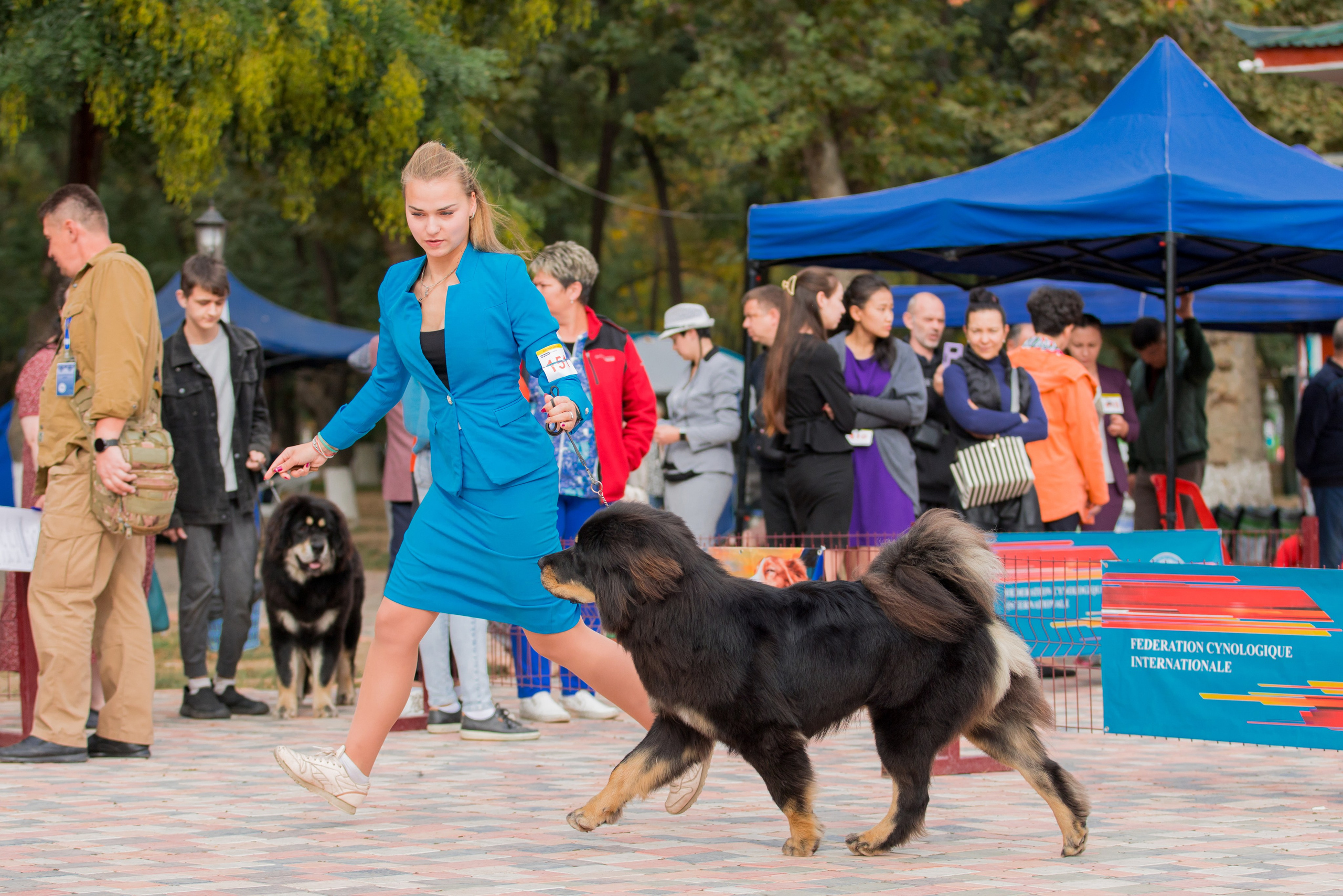 Ташкент 6-8.10.2023 + Алматы 14-15.10.2023. Фотограф-анималист Юлия Германика