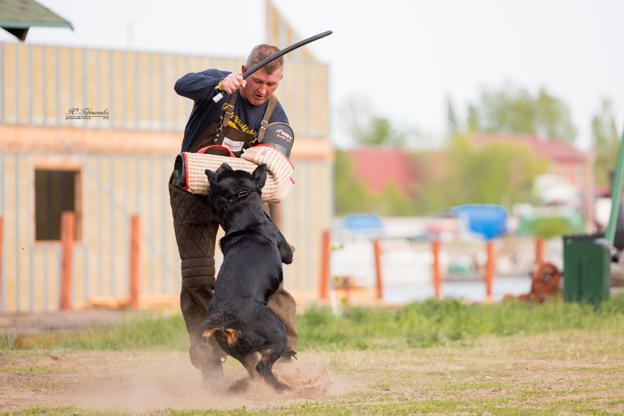 Саратов 2 х моно ротвейлеров 28-29.04.2024. Фотограф-анималист Юлия Германика