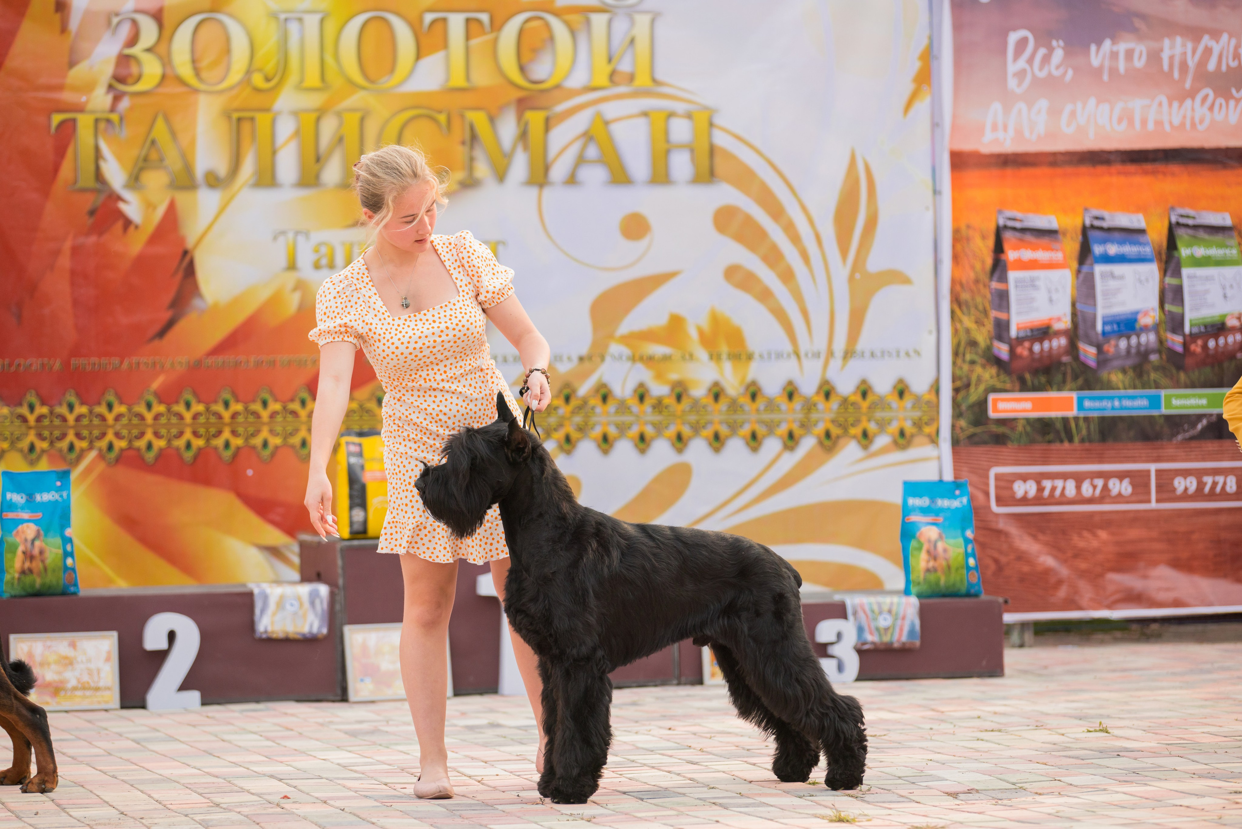 Ташкент 6-8.10.2023 + Алматы 14-15.10.2023. Фотограф-анималист Юлия Германика