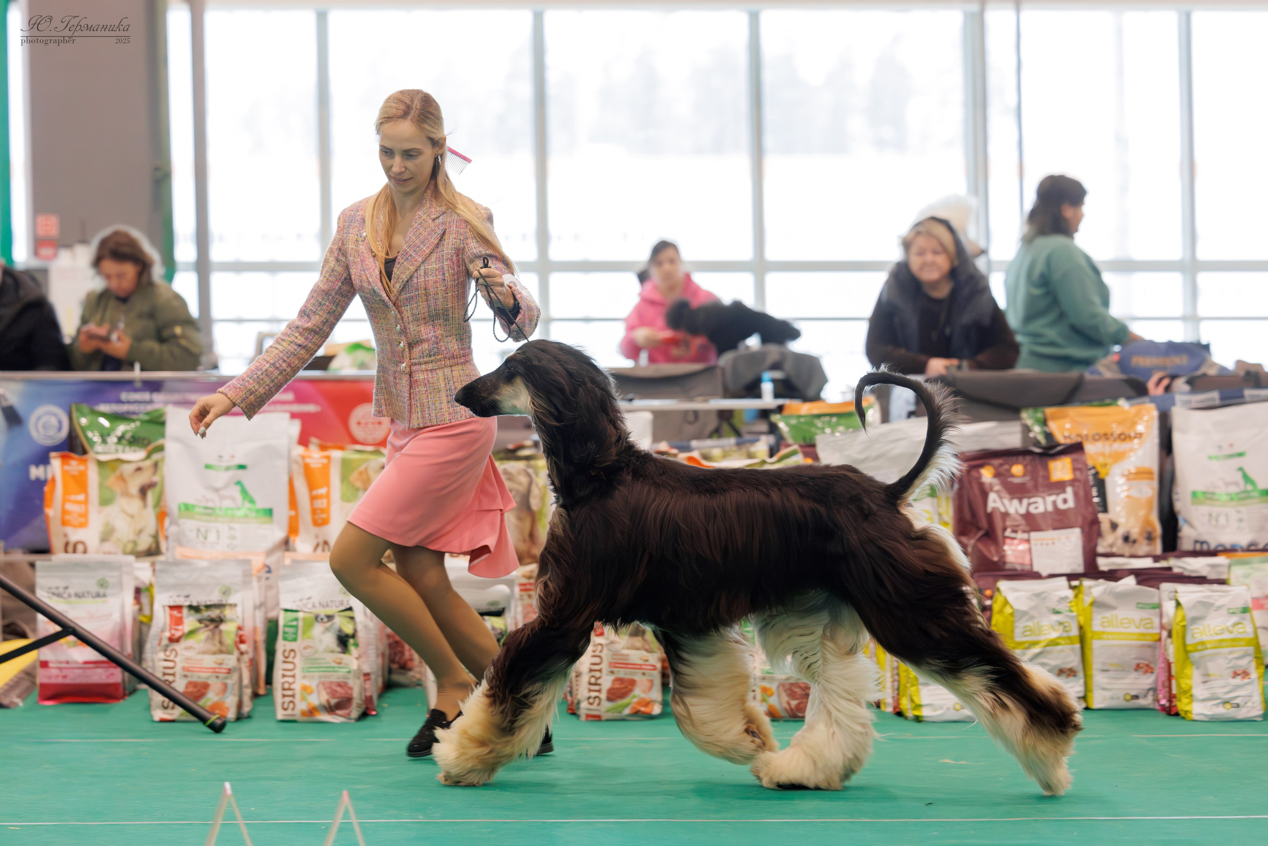 Минск 1-2.03.2025. Фотограф-анималист Юлия Германика