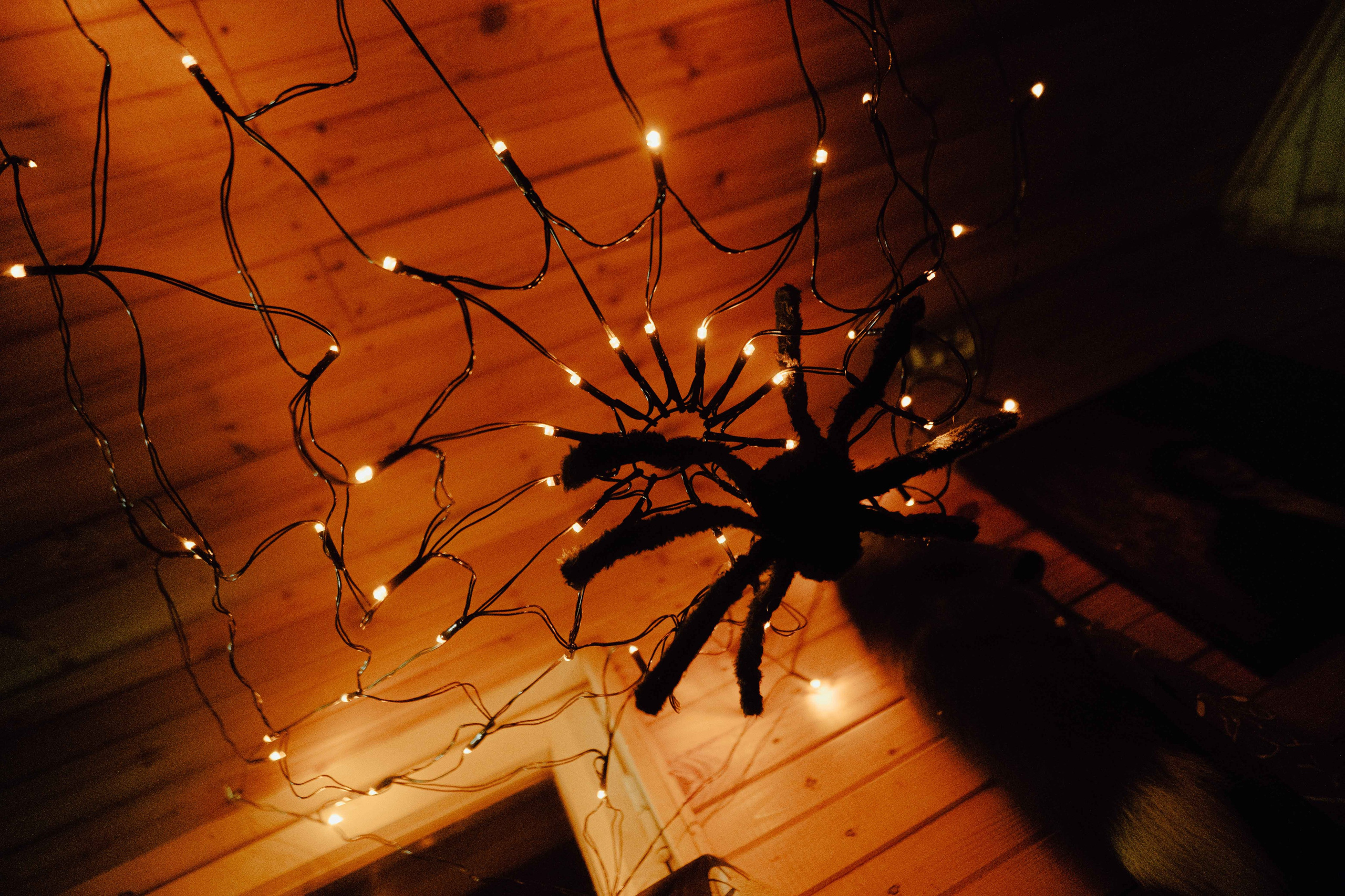 «52 герца». Фотограф Аннё| Москва