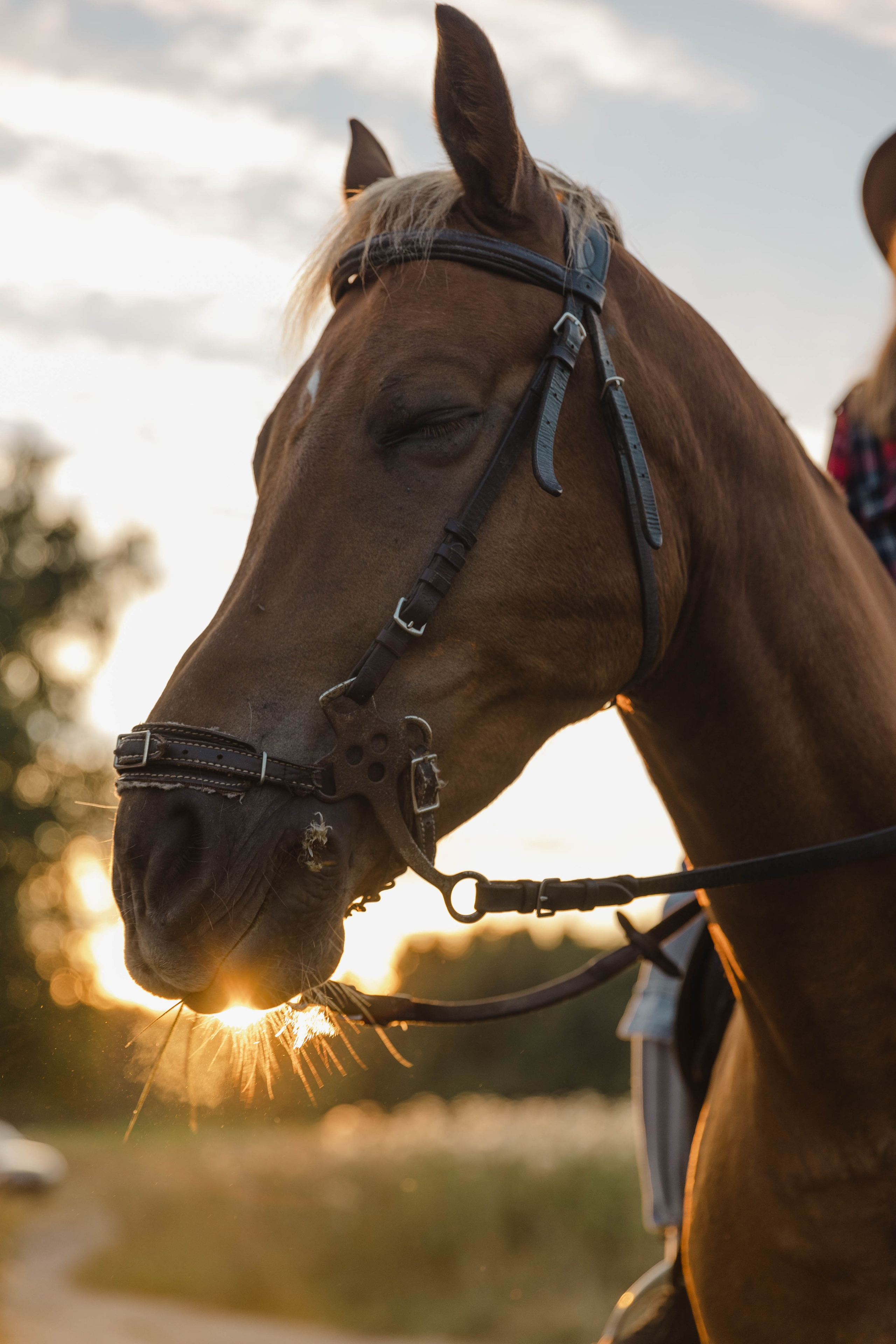 Тёплый вечер лета. Свадебный и семейный фотограф в Карелии