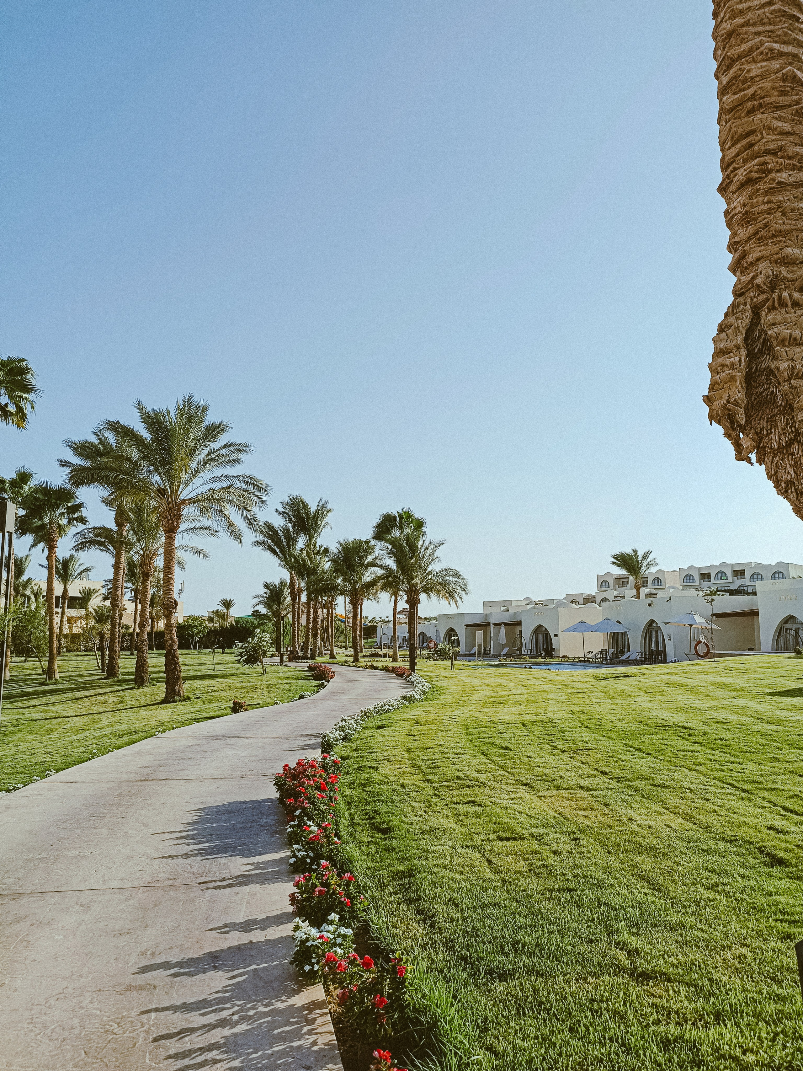 Мобильная. Jorgis — фотограф в Хургаде / обучение фотографии