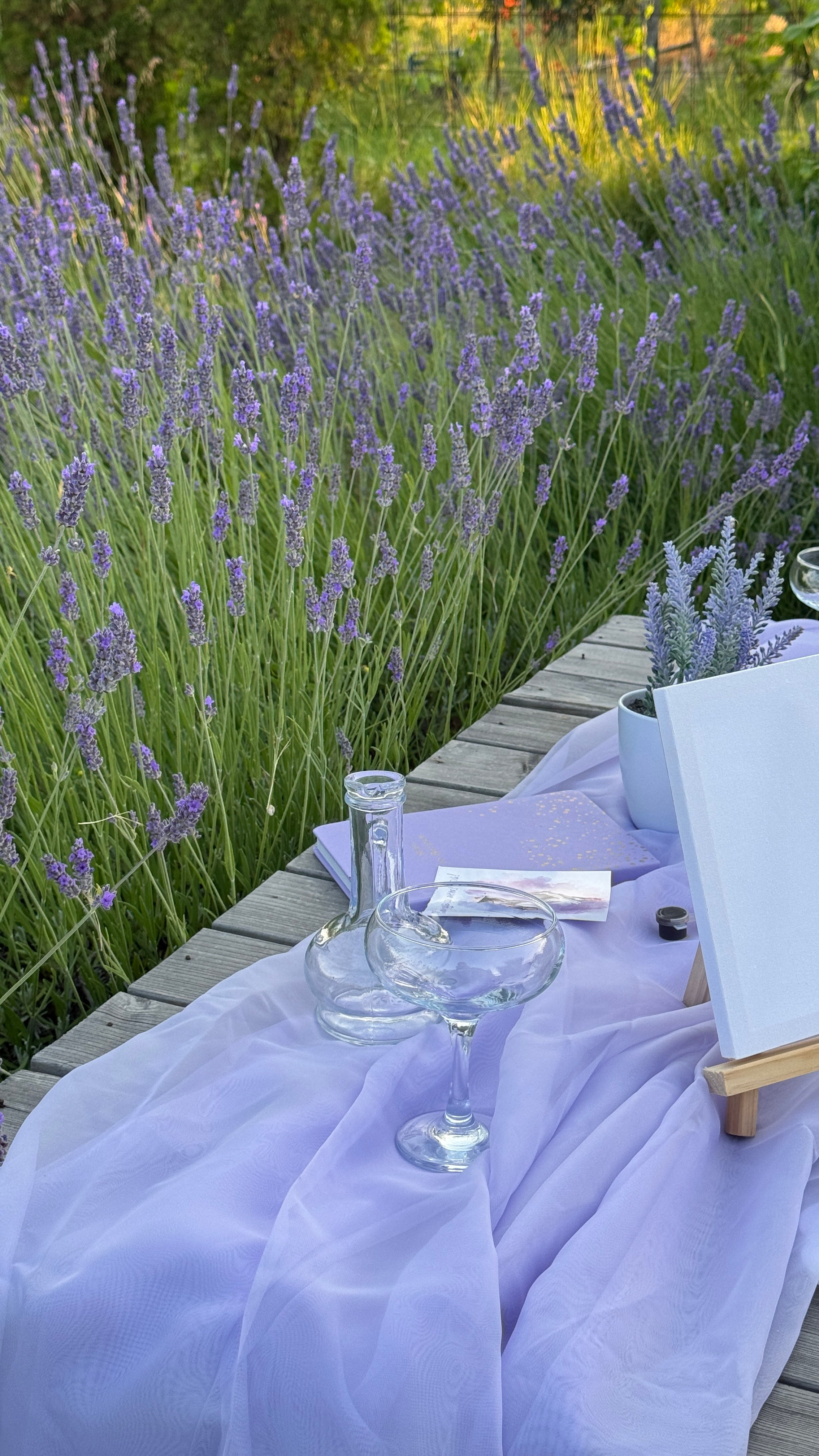 Лаванда. Фотостудия Натальи Забродской