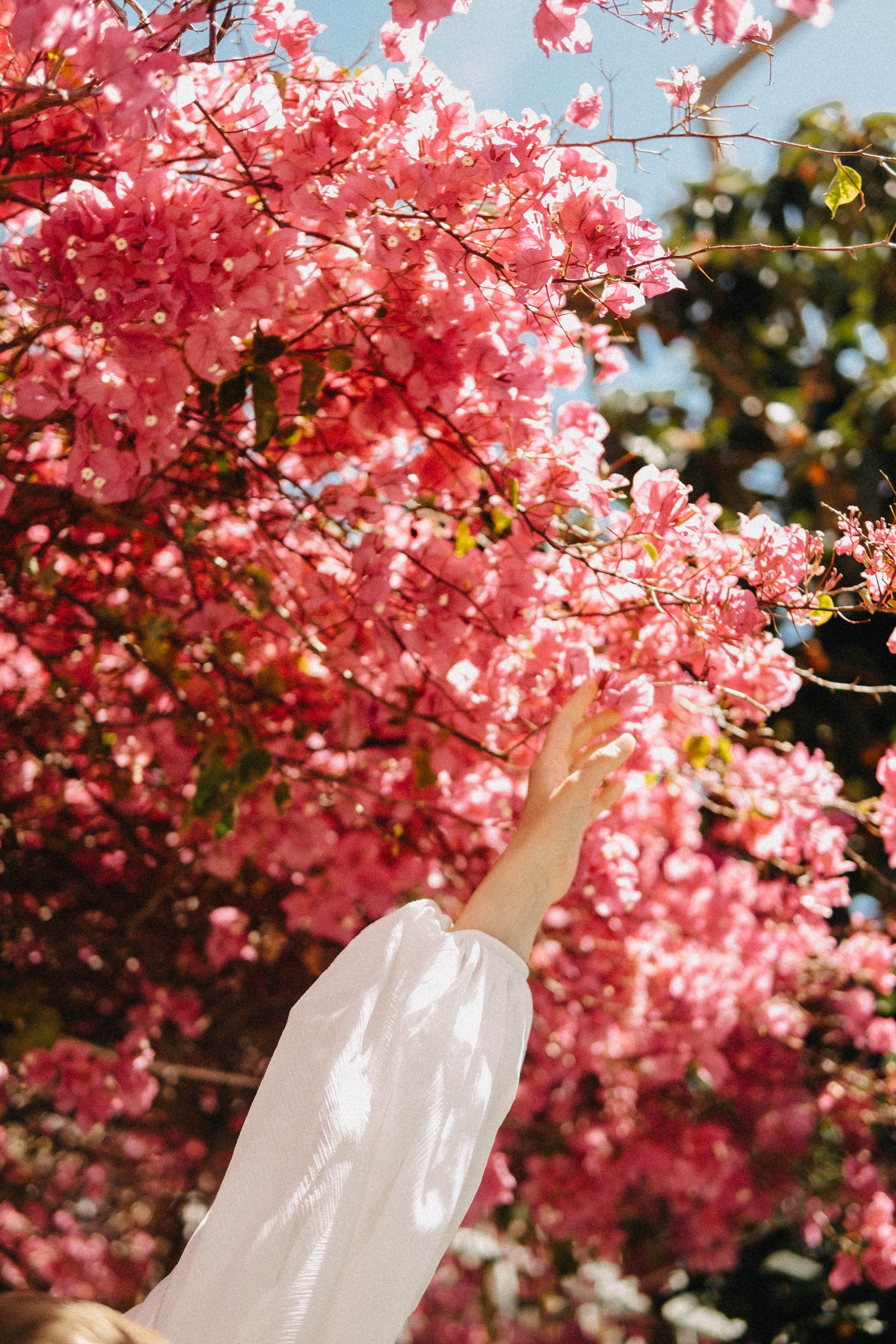 Даша и Миша. Свадебный фотограф Оля Григунова
