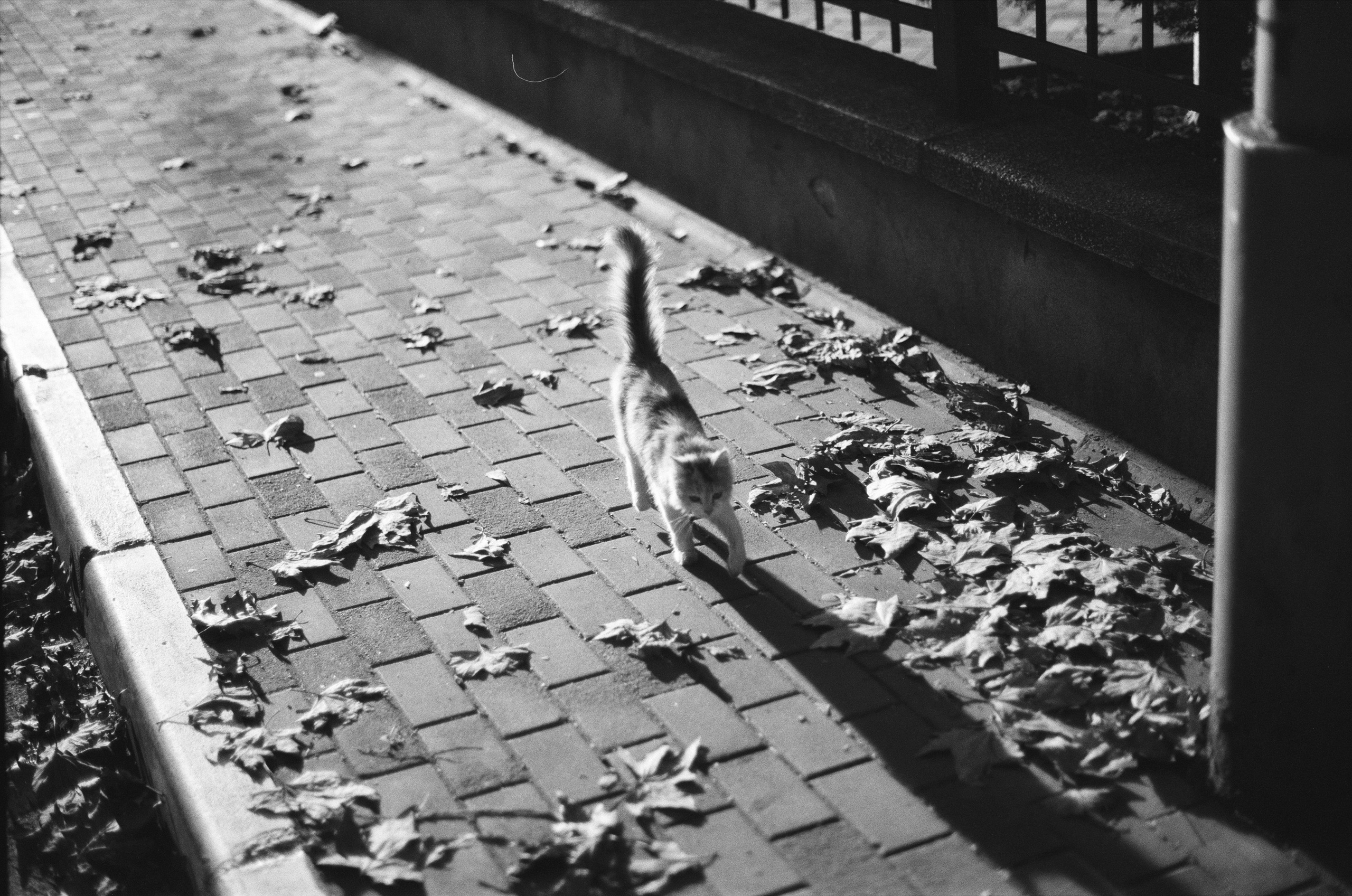 I o u // ukraine, crimea II. EVER EXPOSED