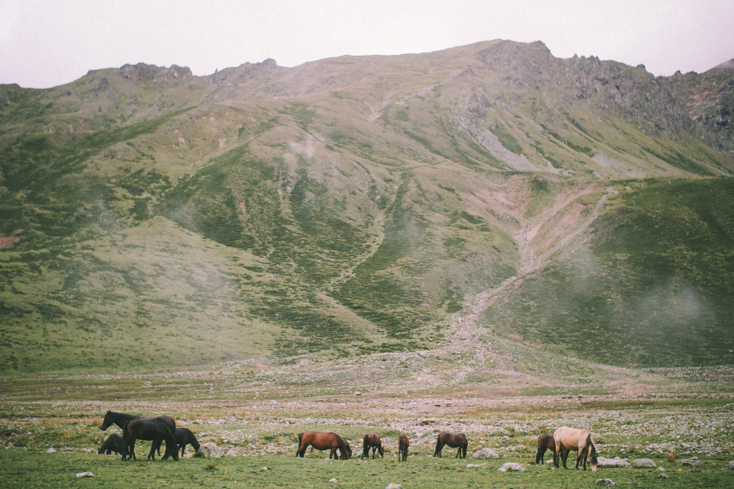 Фотографии из путешествий. NECULTURED PHOTOGRAPHER