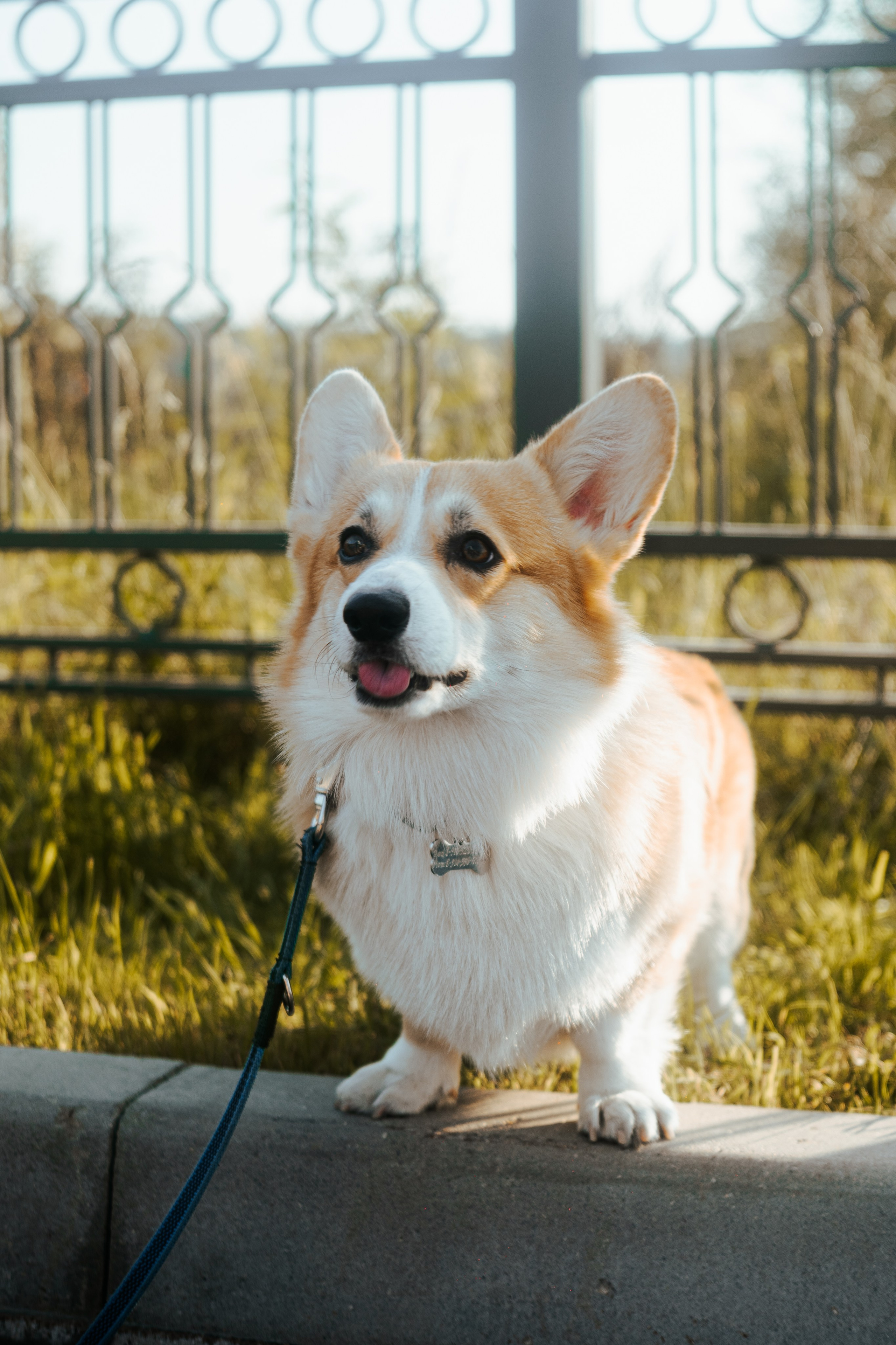 Репортажная фотосъёмка SMD Weekend в Калуге