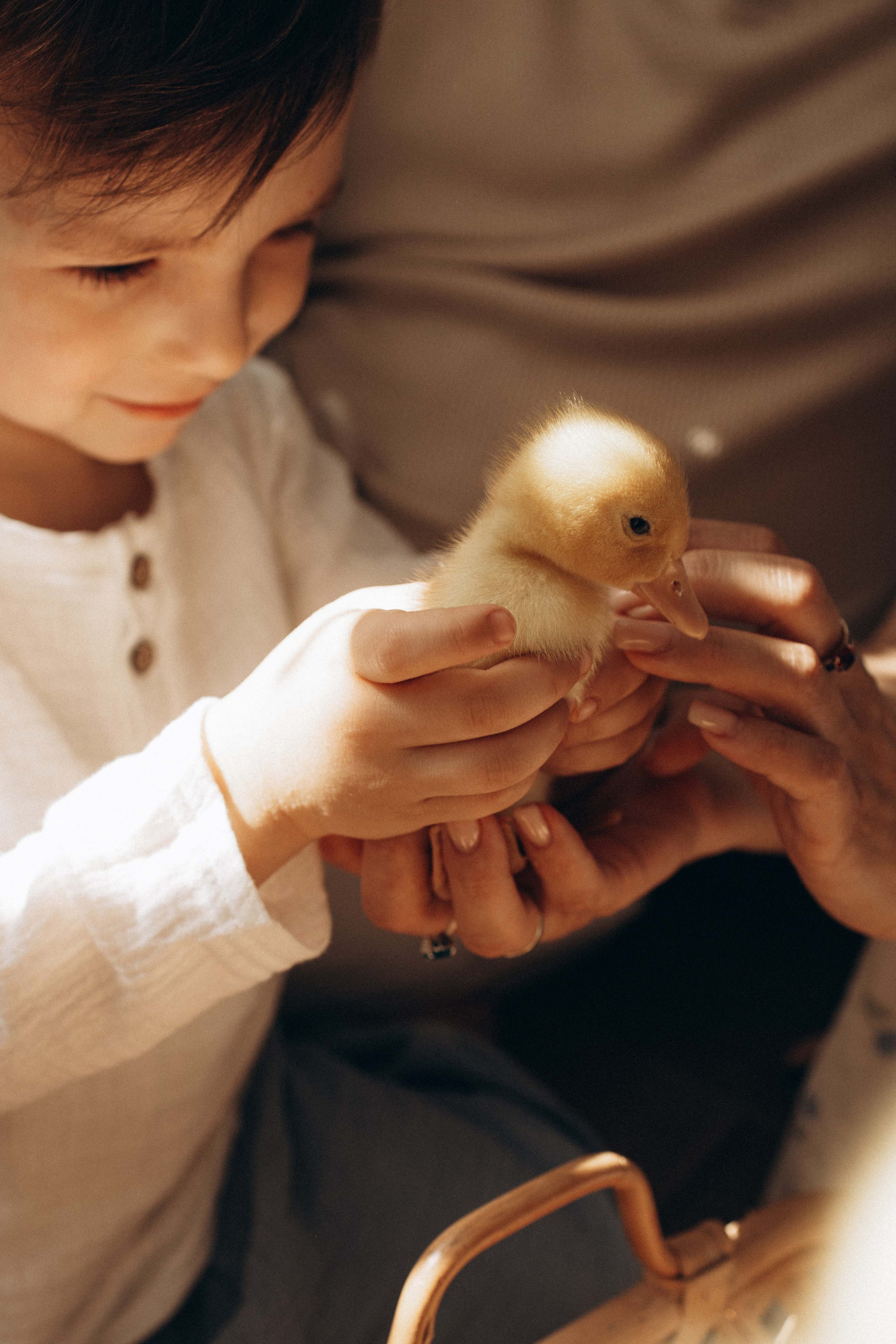Семейная / Домашняя. Анна Лобастова | Фотограф для особенных мгновений ❤ Москва Люберцы