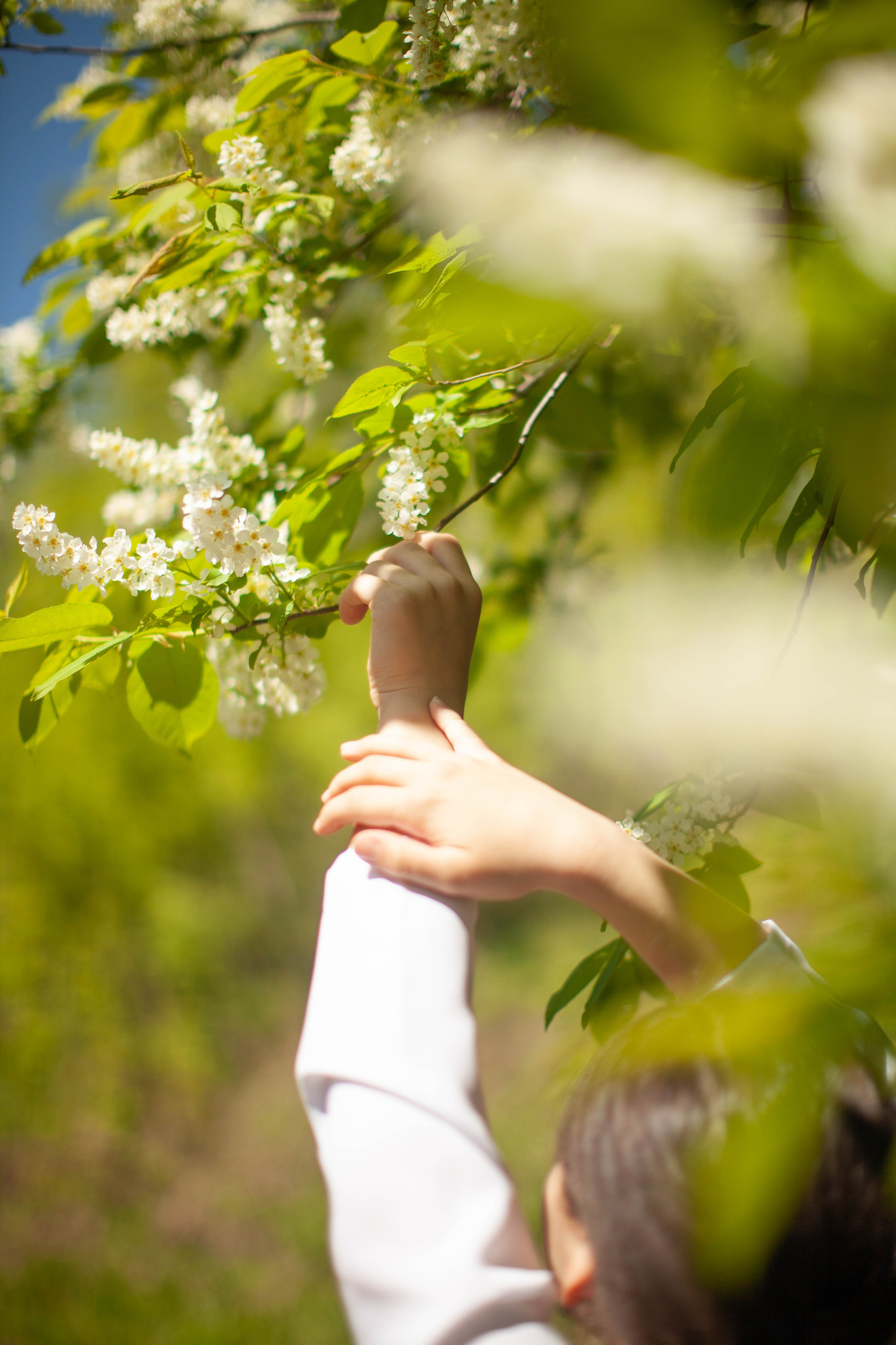 Летний день. Art my Pho